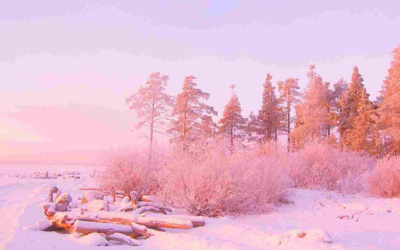 Snølandskap i pastellrosa estetisk datagrafikk Bakgrunner