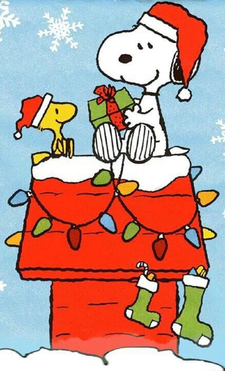 Snoopy julegaveutdeling Bakgrunner