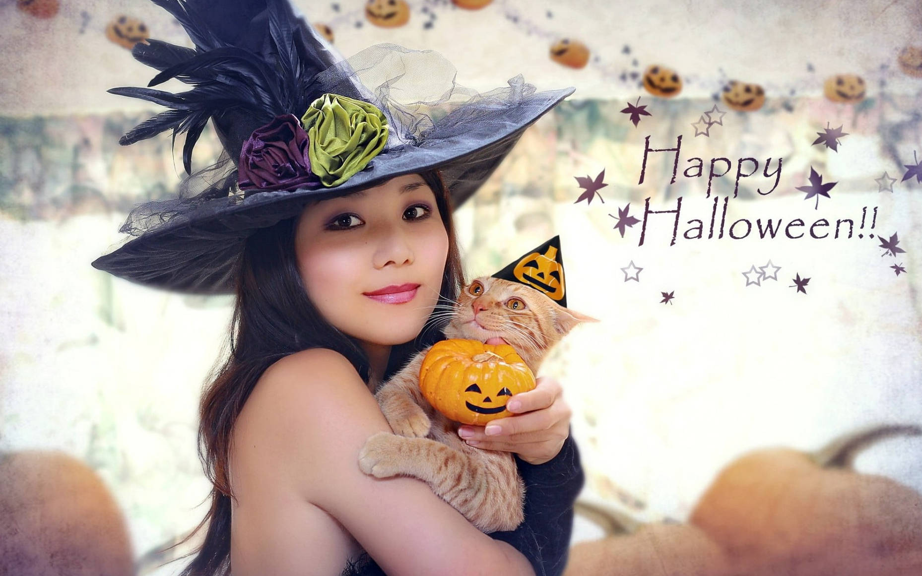 Søt Halloween-heks med katt Bakgrunner