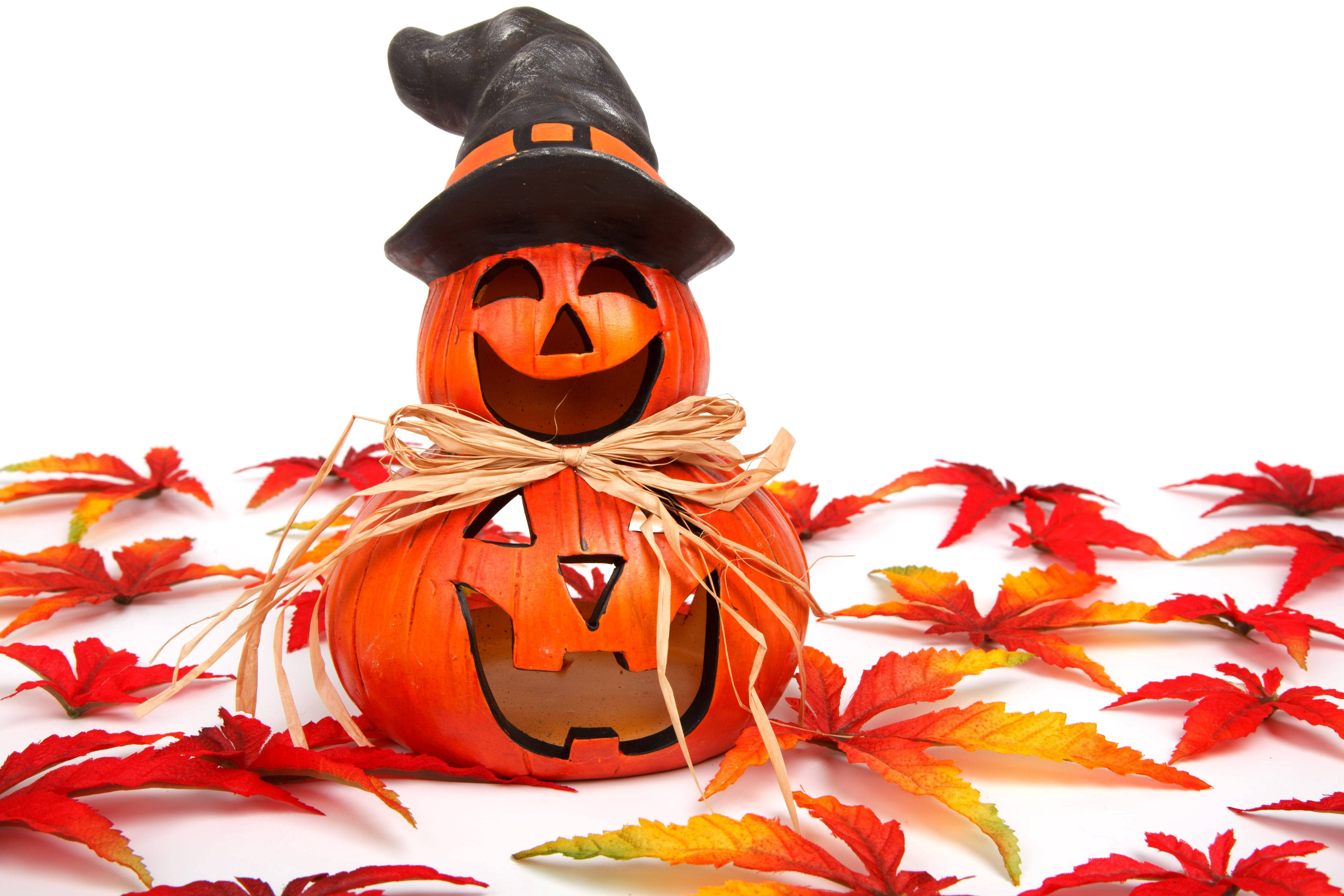Søt Halloween Høst Jack O' Lantern Bakgrunner