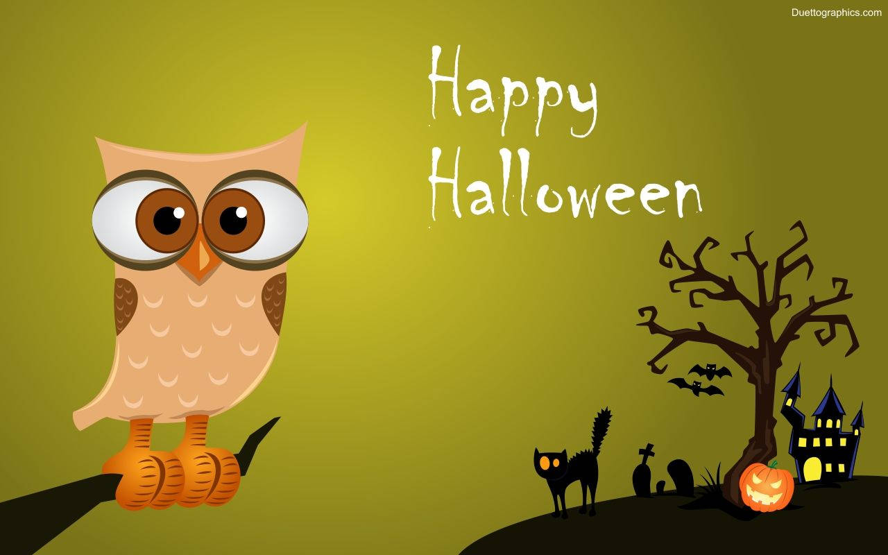 Søt Halloween-ugle Bakgrunner