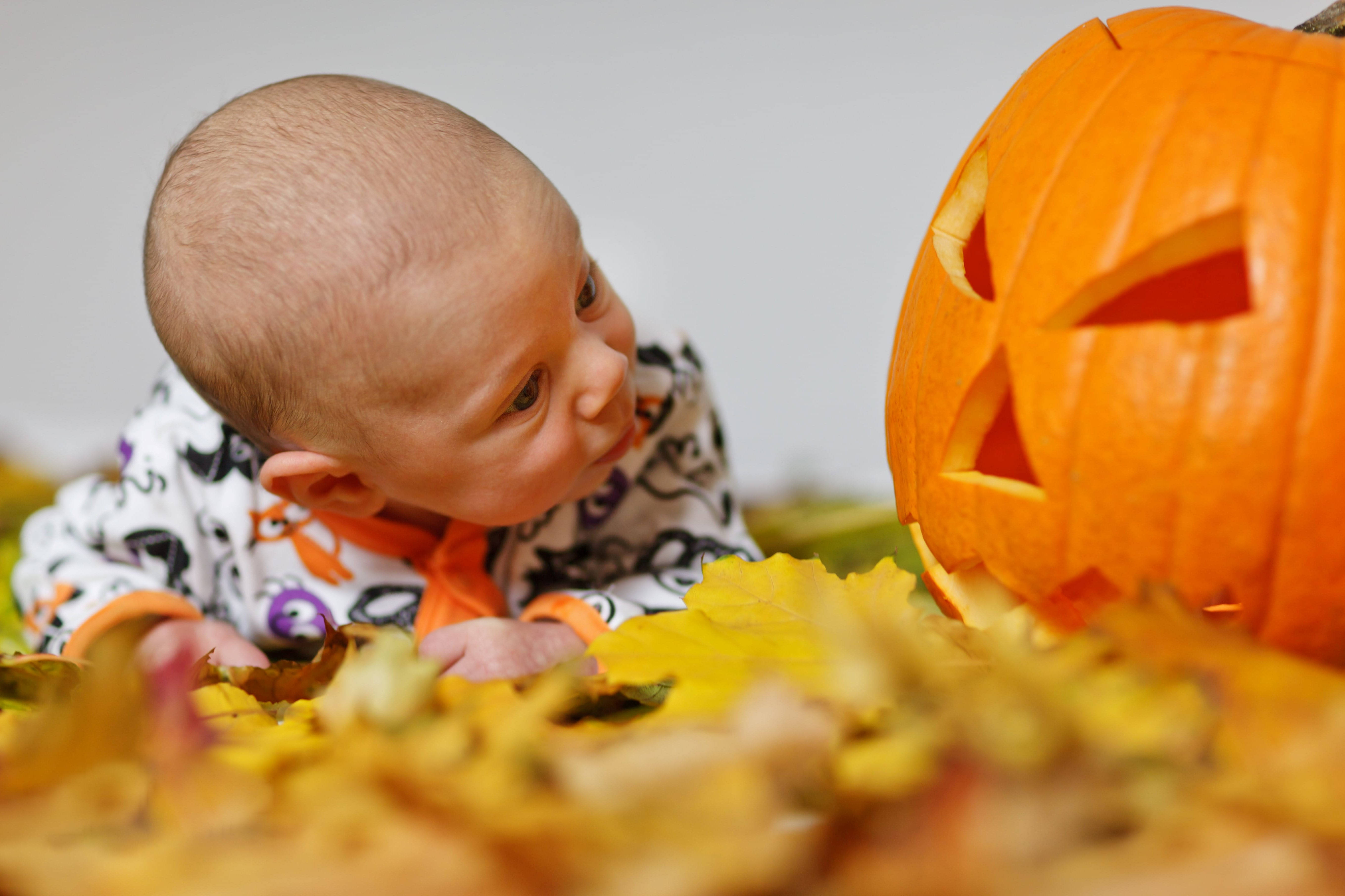 Søt halloweenbaby med gresskarblikk Bakgrunner