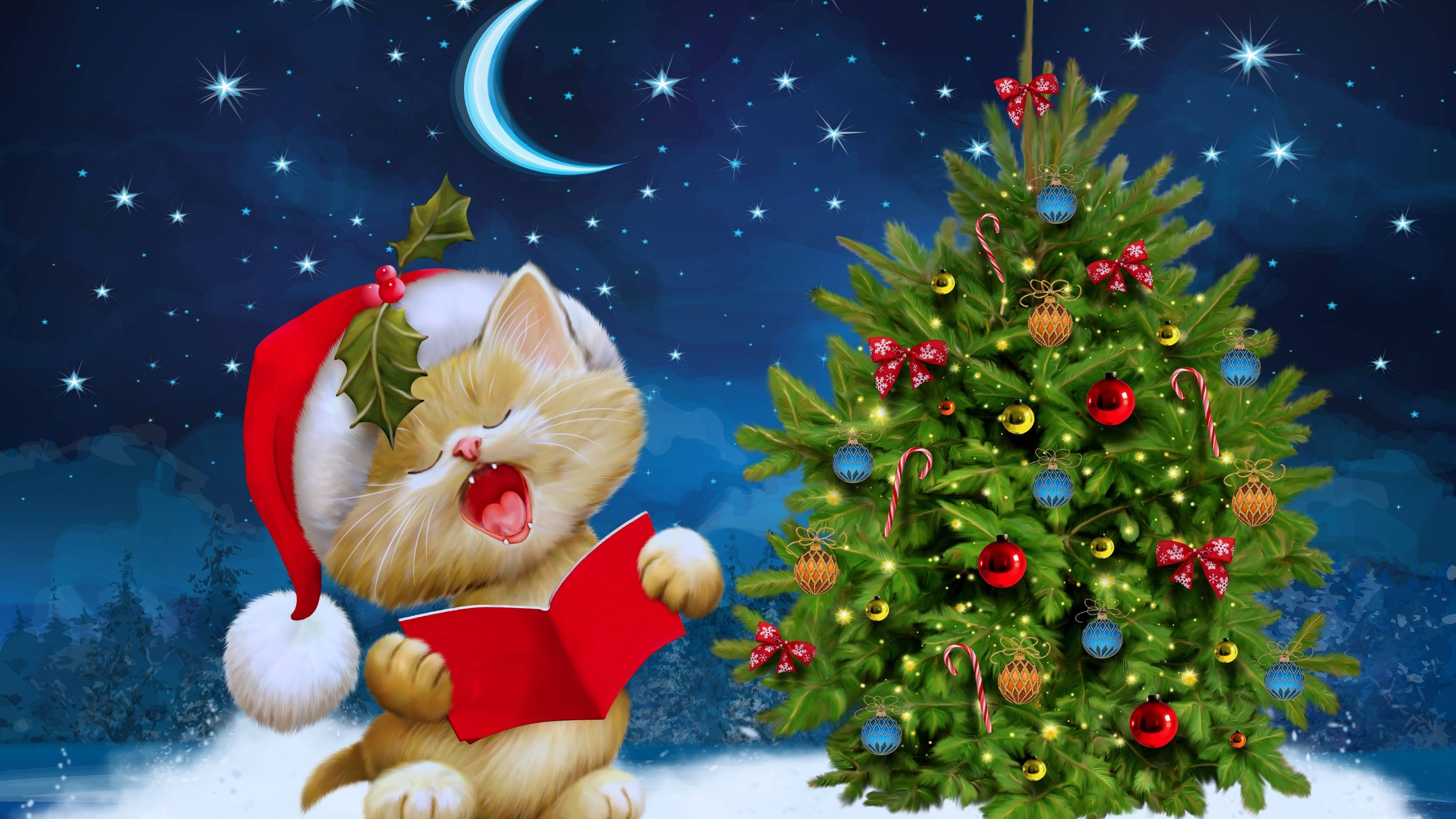 Søt kattunge i festlig nisselue som feirer jul i 4K Ultra HD. Bakgrunner