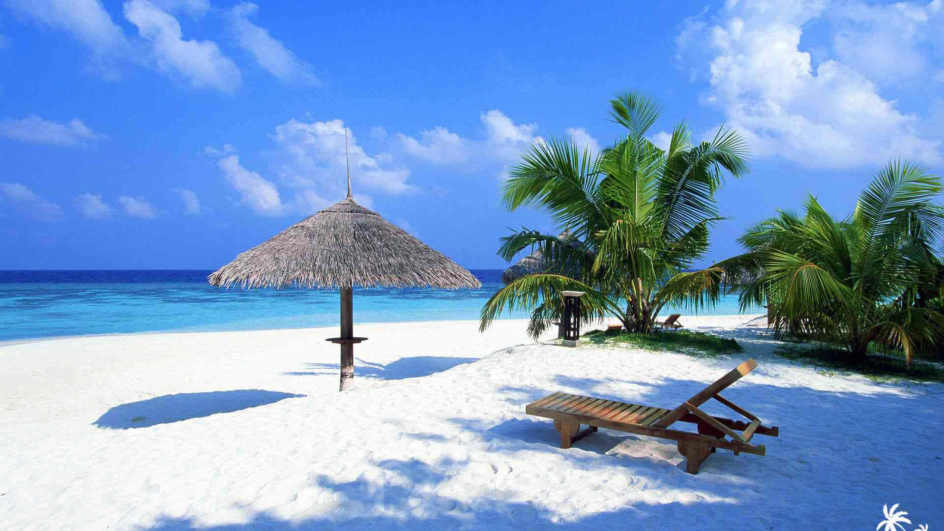 Søt sommerstrandstue Bakgrunner