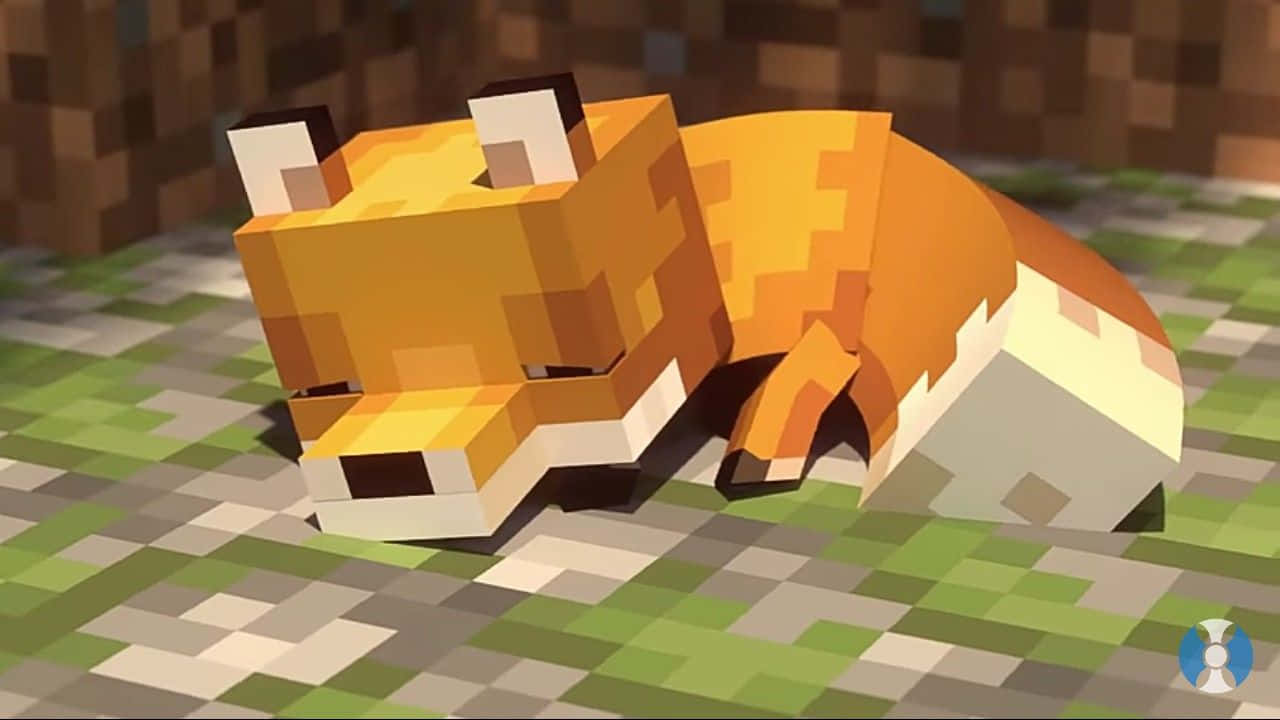 Søt sovende Minecraft-rev Bakgrunner