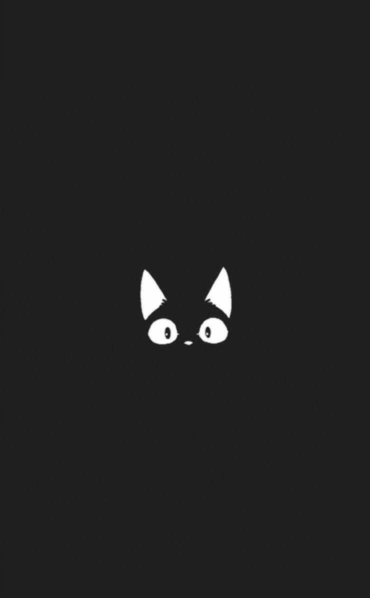 Søt svart-hvitt estetisk animekatt Bakgrunner