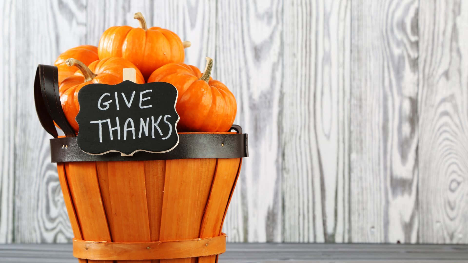 Søt Thanksgiving-bakgrunn Bakgrunner