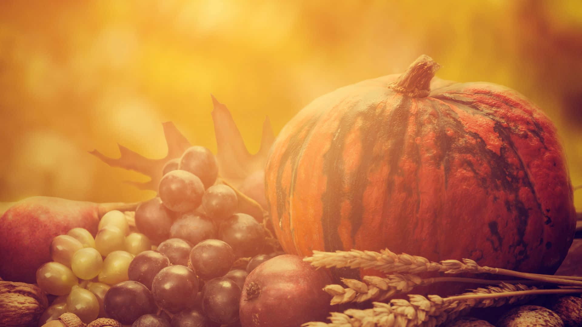 Søt Thanksgiving-bakgrunn Bakgrunner