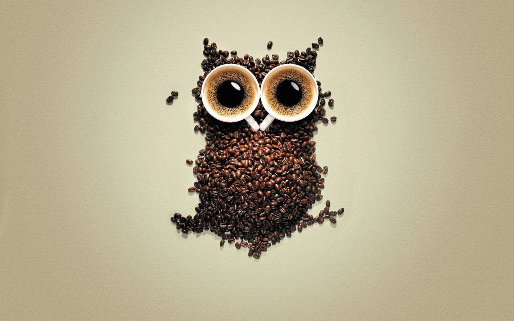 Søt uglekunst med kaffe Bakgrunner