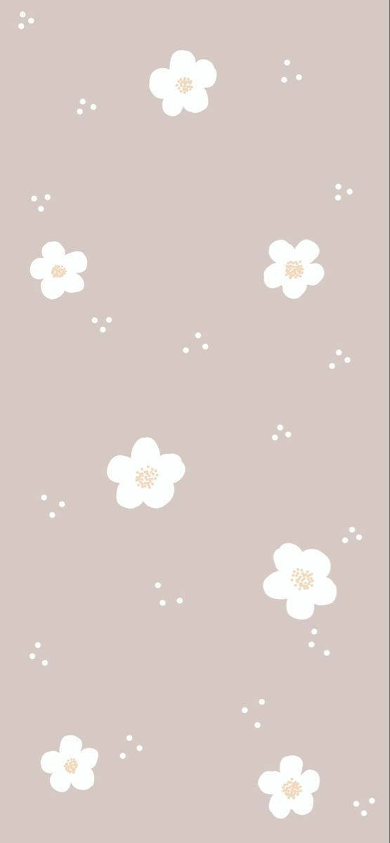 Søte enkle hvite blomster uten stilker Bakgrunner