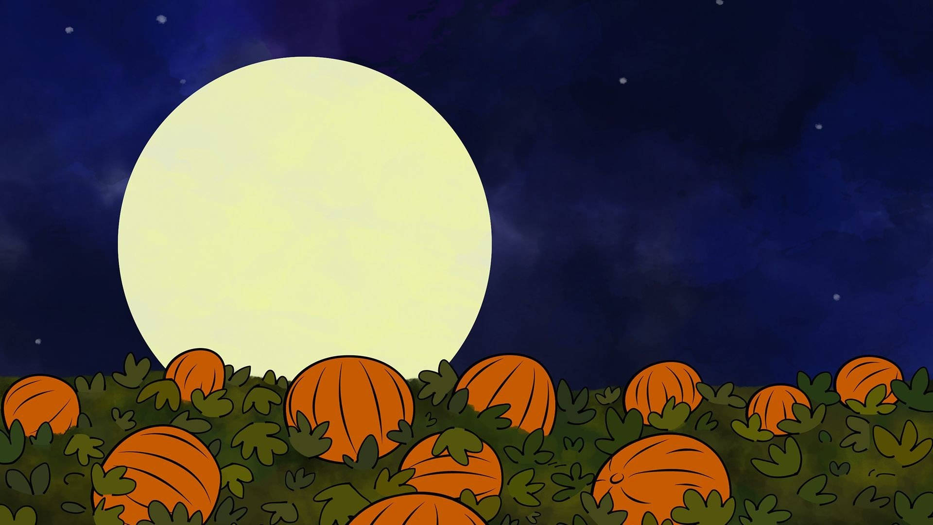 Søte estetiske halloween-gresskar og måne Bakgrunner