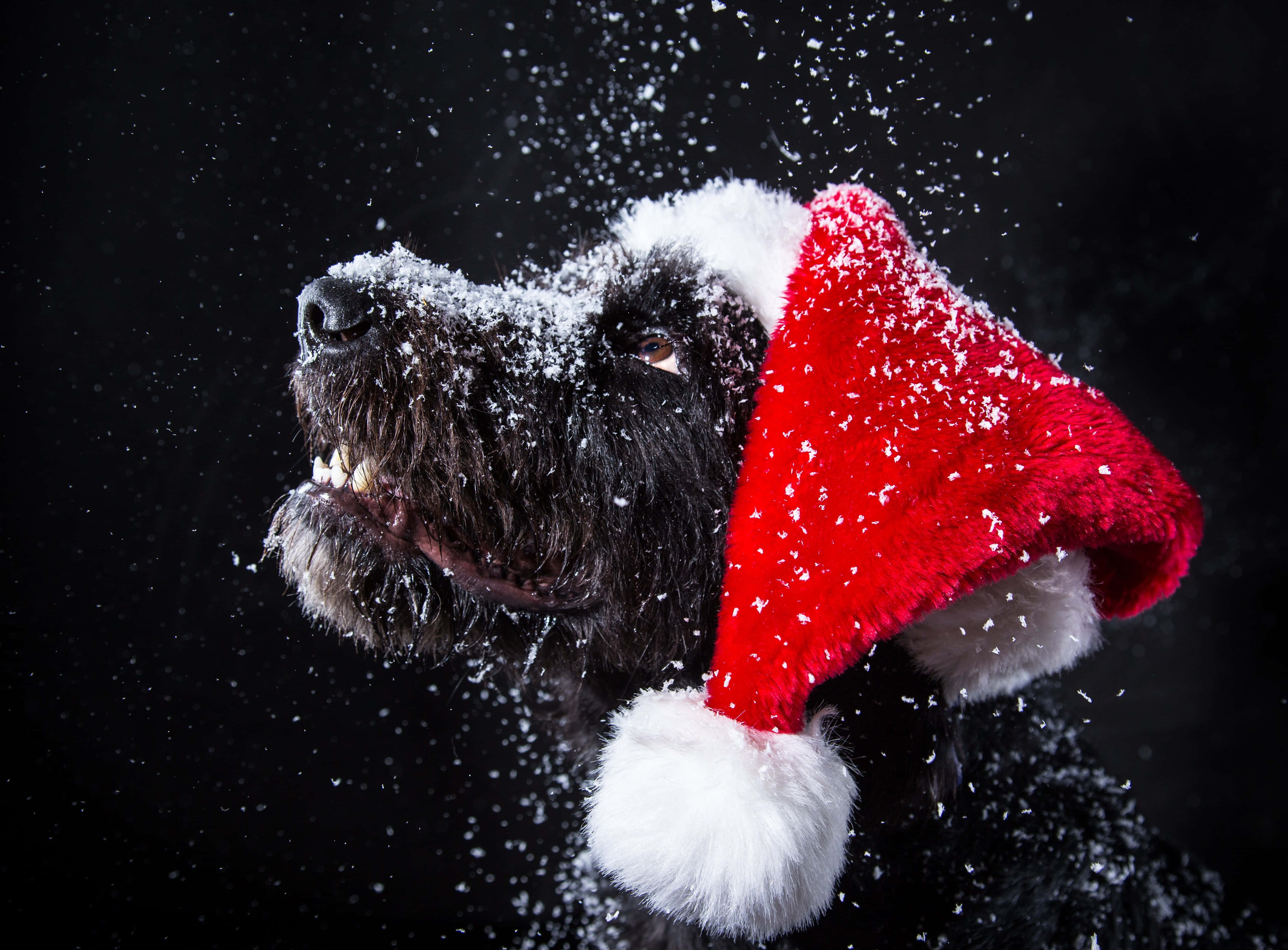 Søte estetiske julebilder Bakgrunner