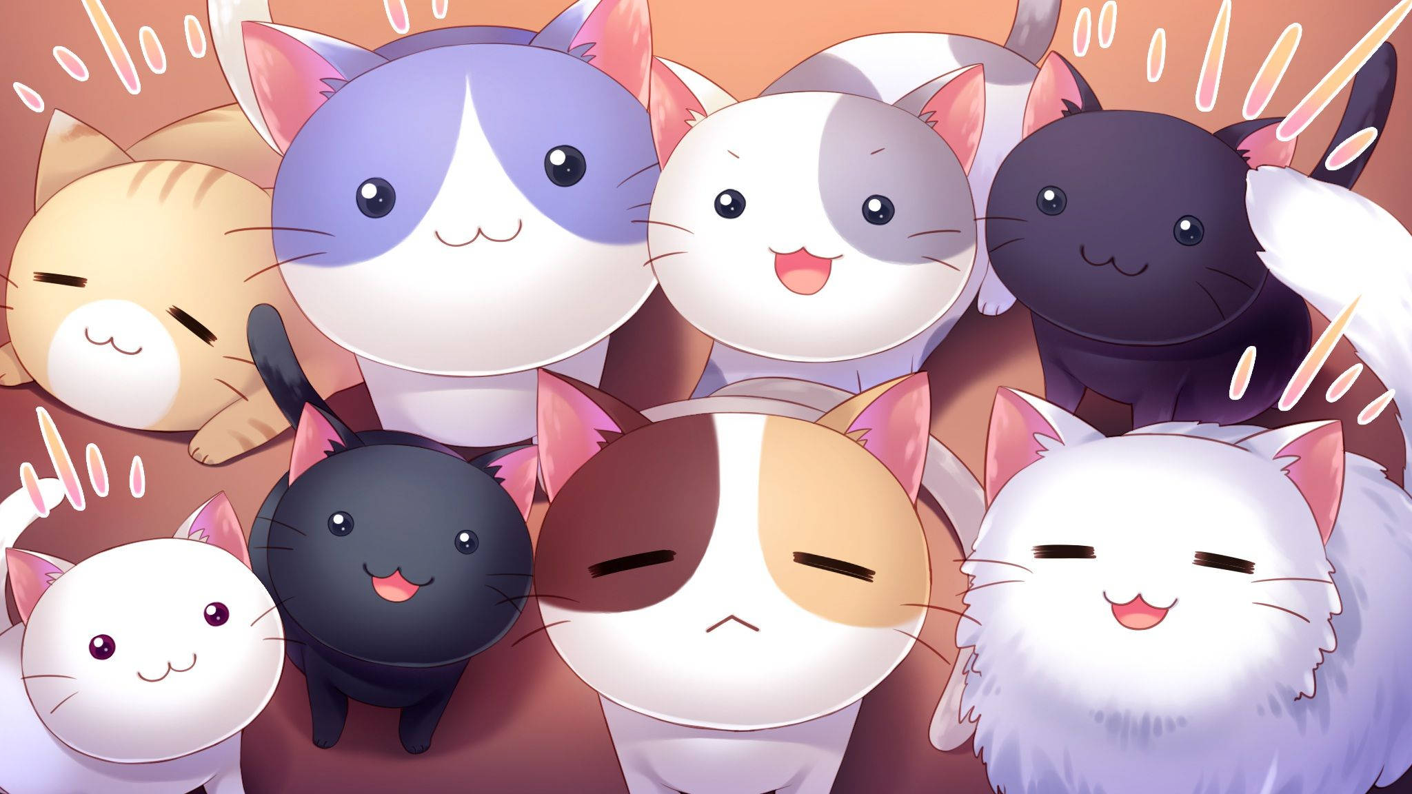 Søte katter som ser opp Kawaii iPad Bakgrunner
