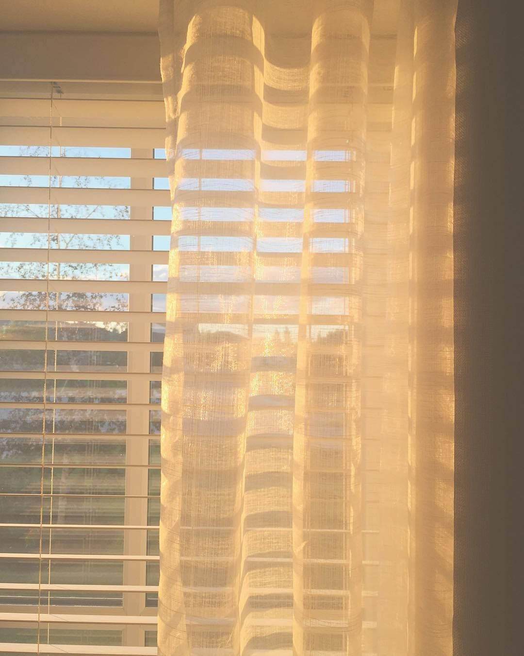 Solbelyst ro i beige estetikk Bakgrunner