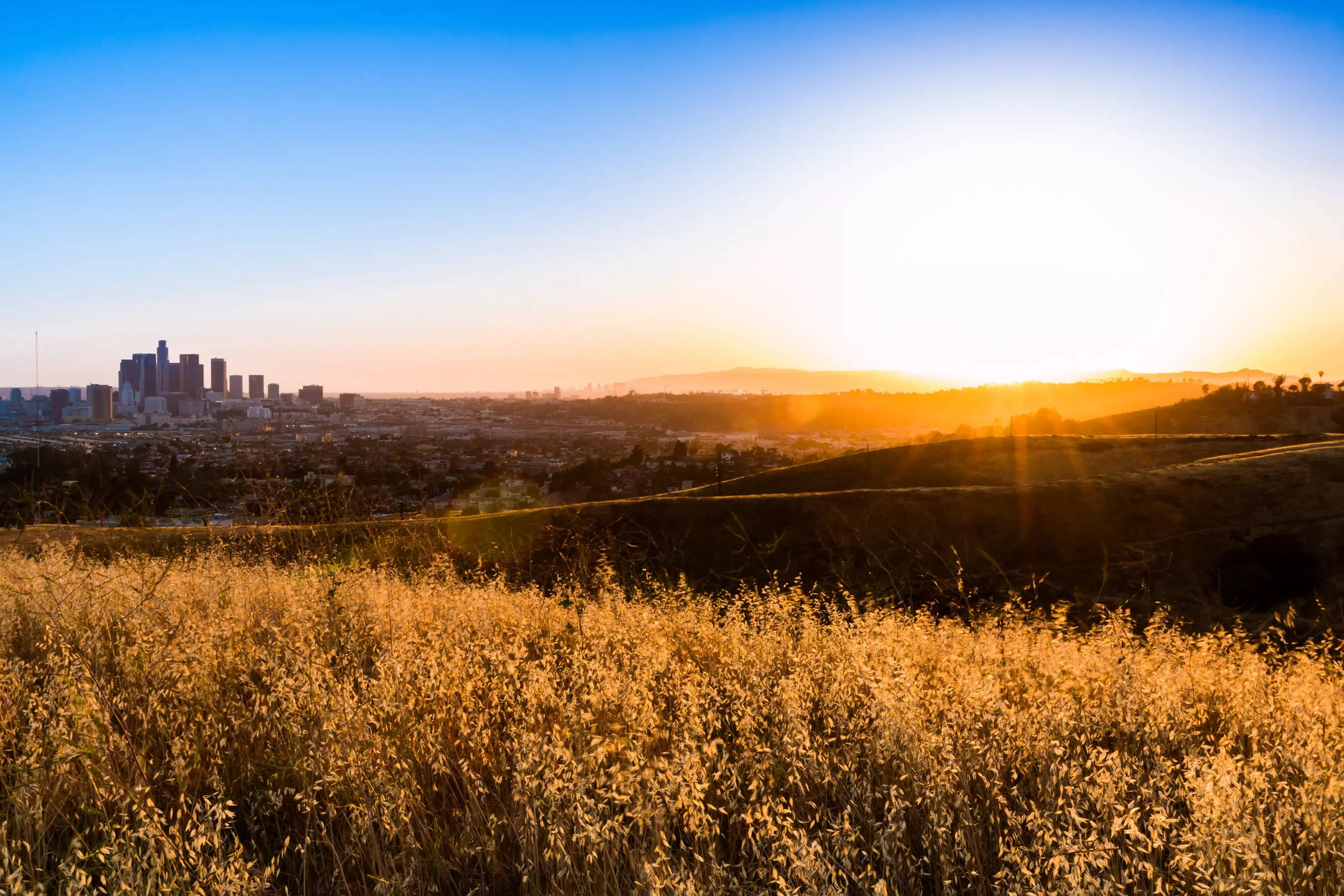 Solnedgang i Ascot Hills Los Angeles Bakgrunner