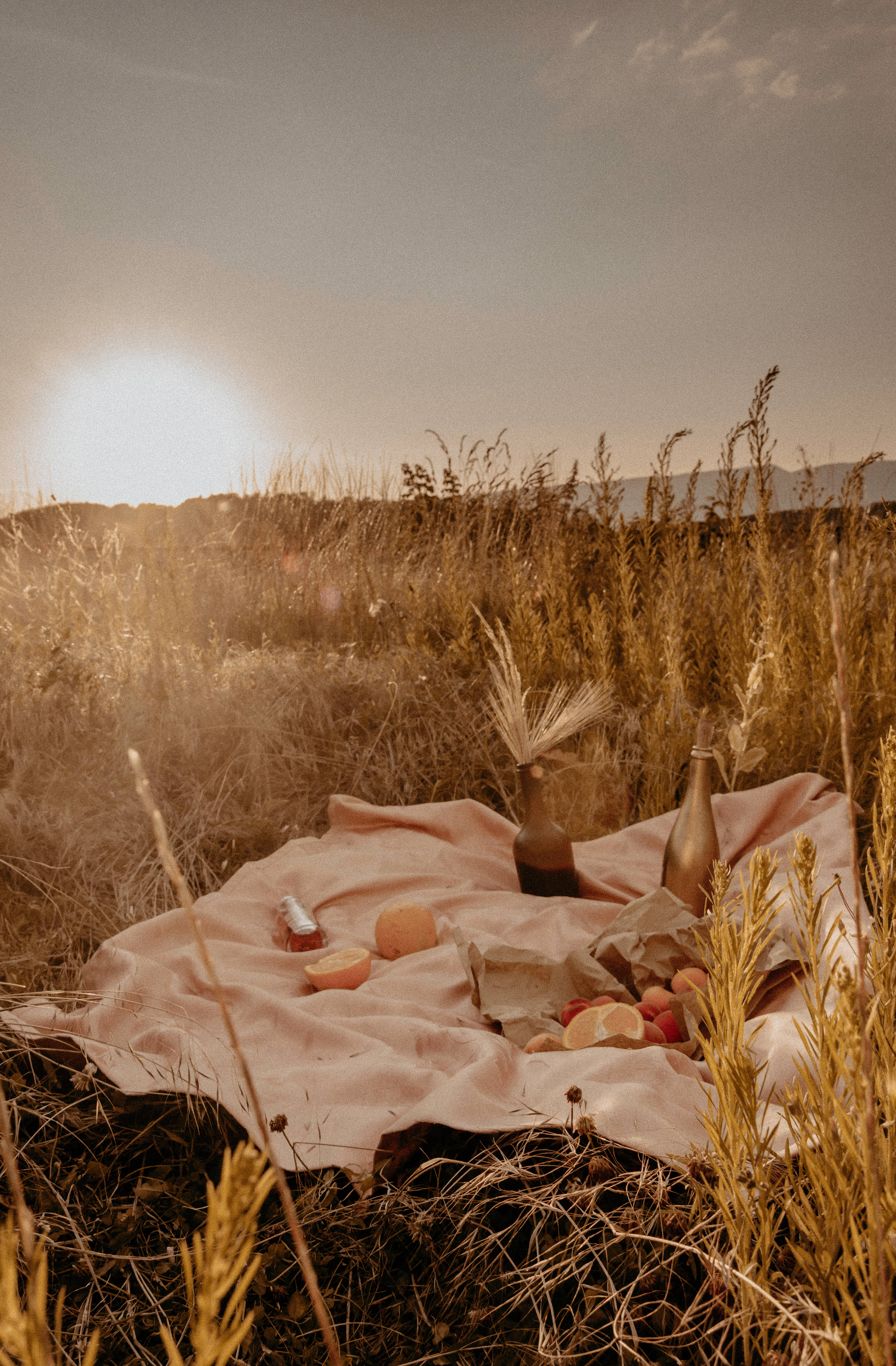 Solnedgang i gress og beige Bakgrunner
