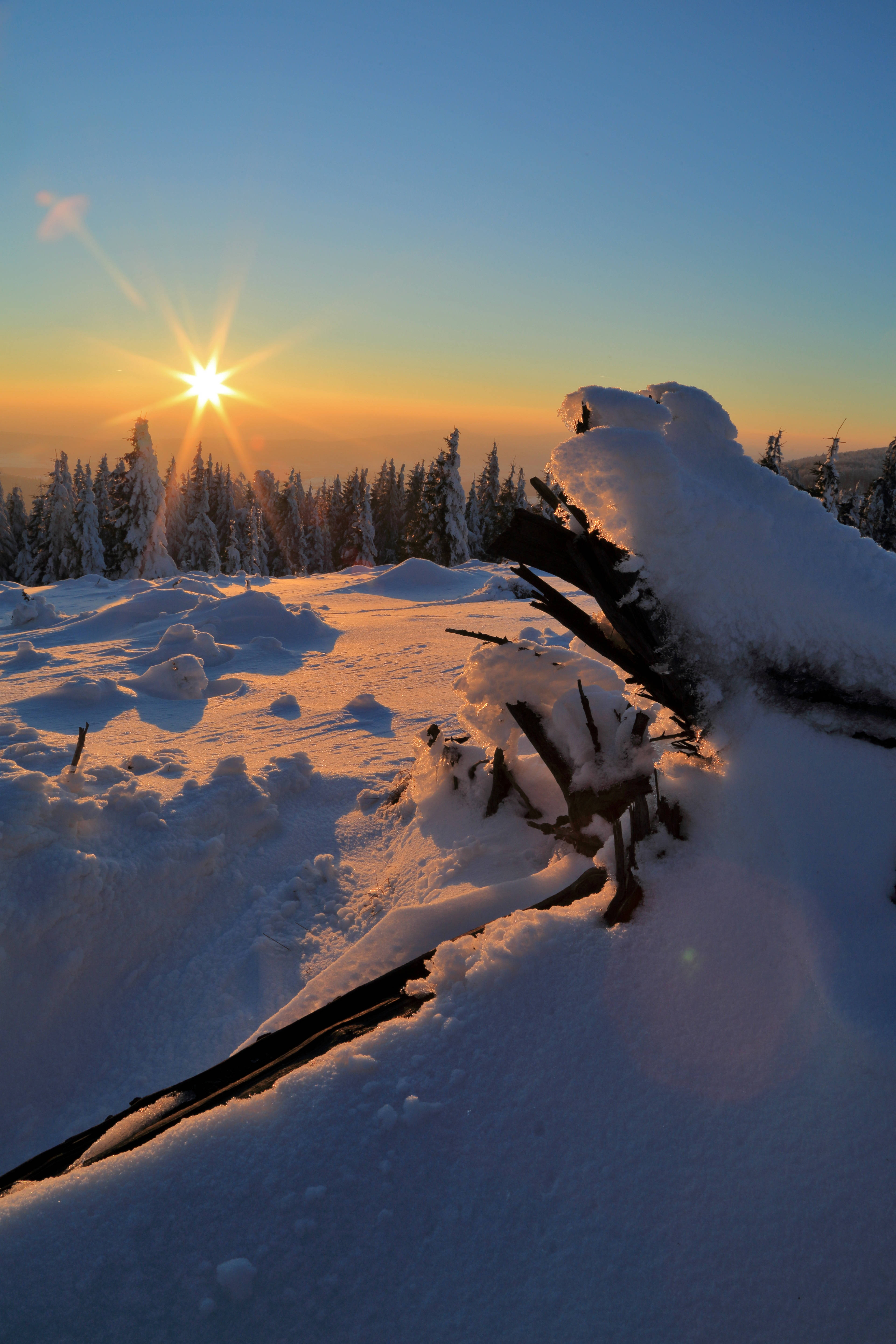 Solnedgang om vinteren Bakgrunner