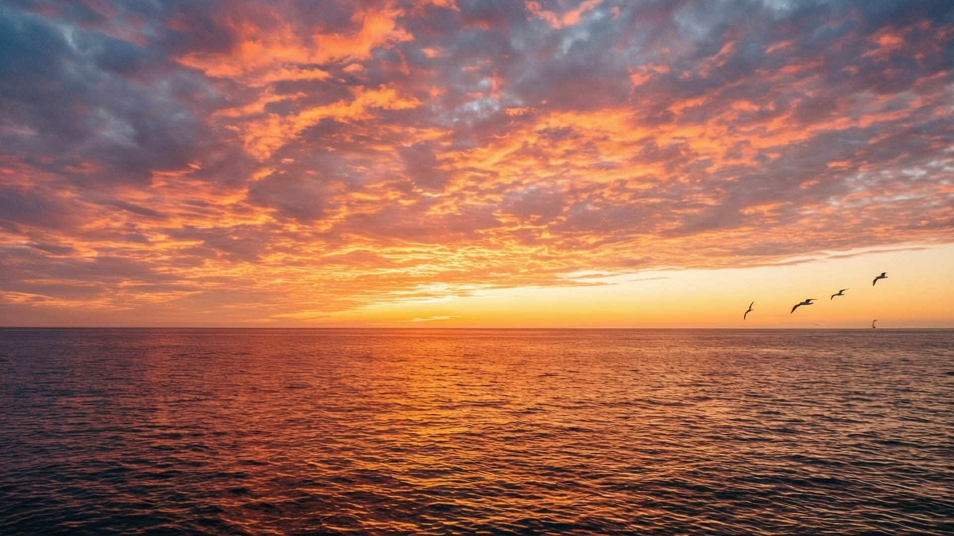 Solnedgang over havet Bakgrunner