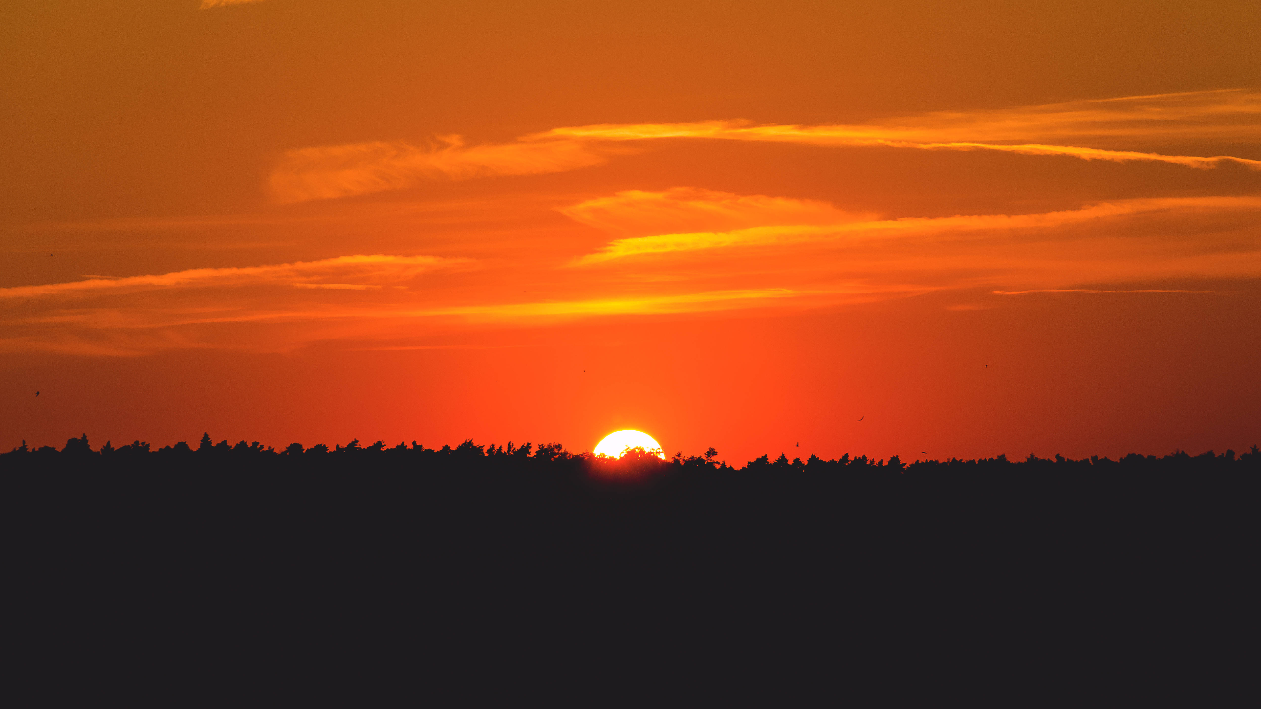 Solnedgang over slettene Bakgrunner