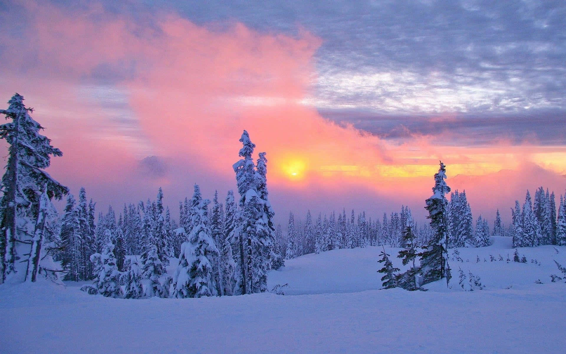 Solnedgang over vinterlandskap Bakgrunner