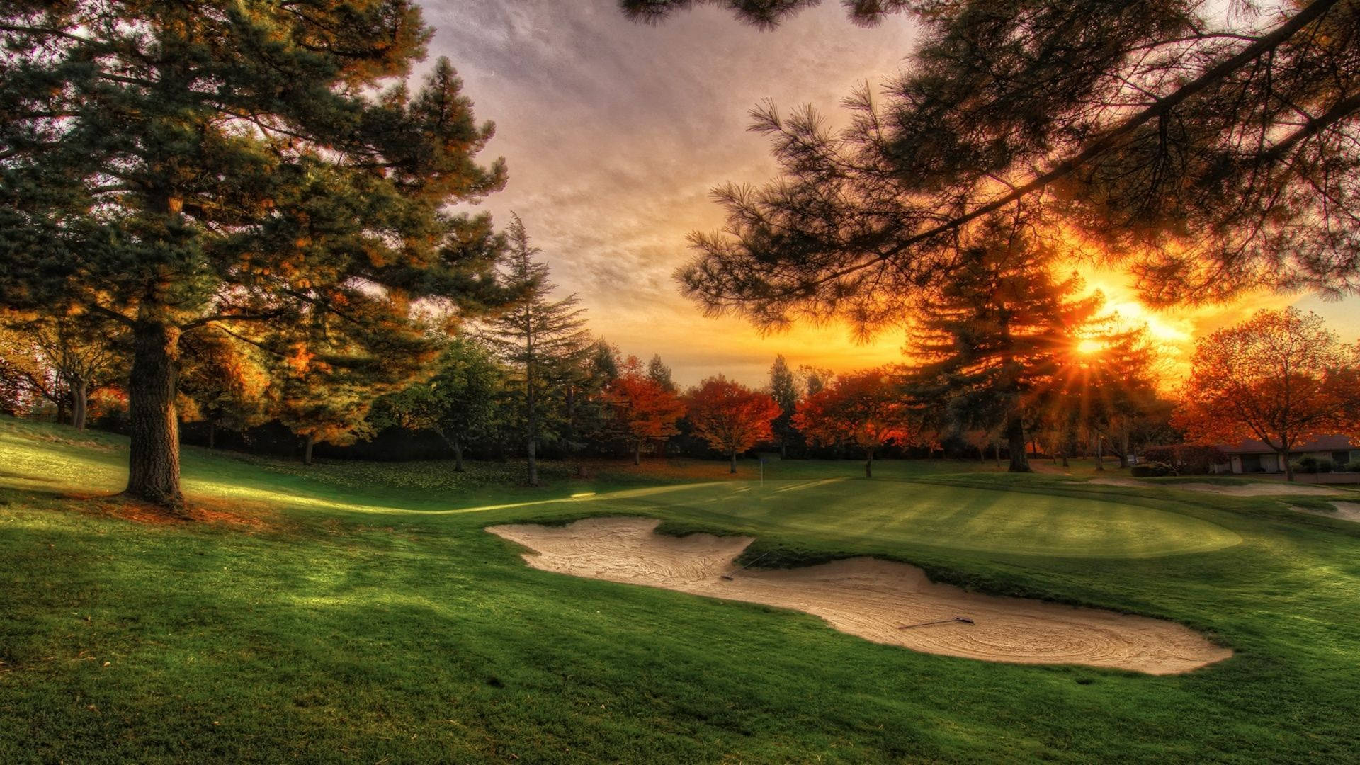 Solnedgang på golfbanen Bakgrunner