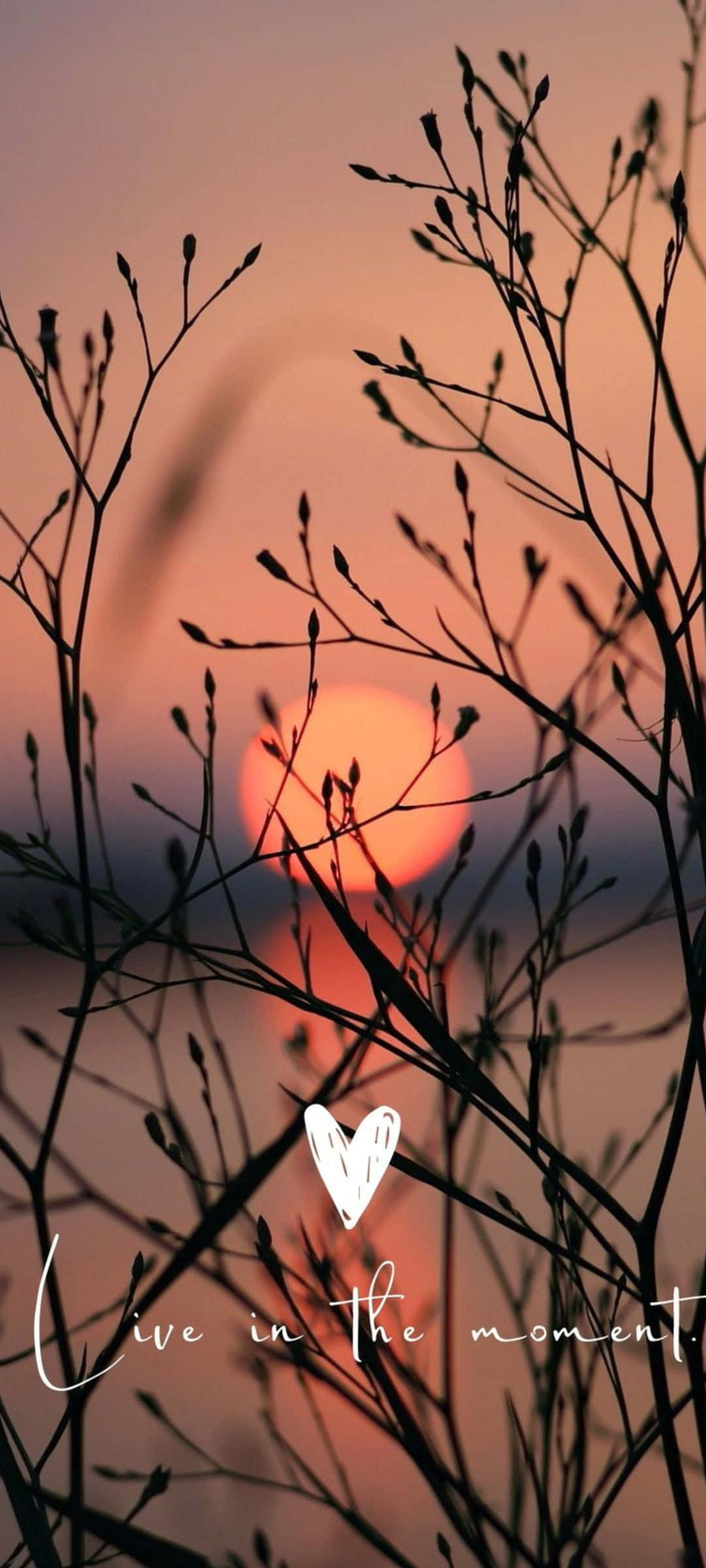 Solnedgang Silhuett Inspirasjon Bakgrunner