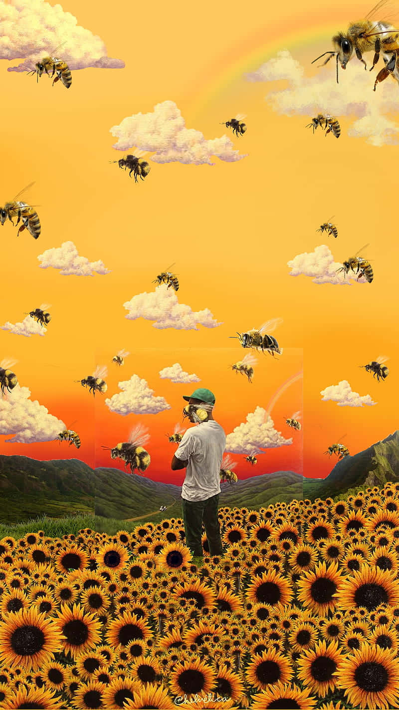 Solsikkefelt Tyler The Creator PFP Bakgrunner