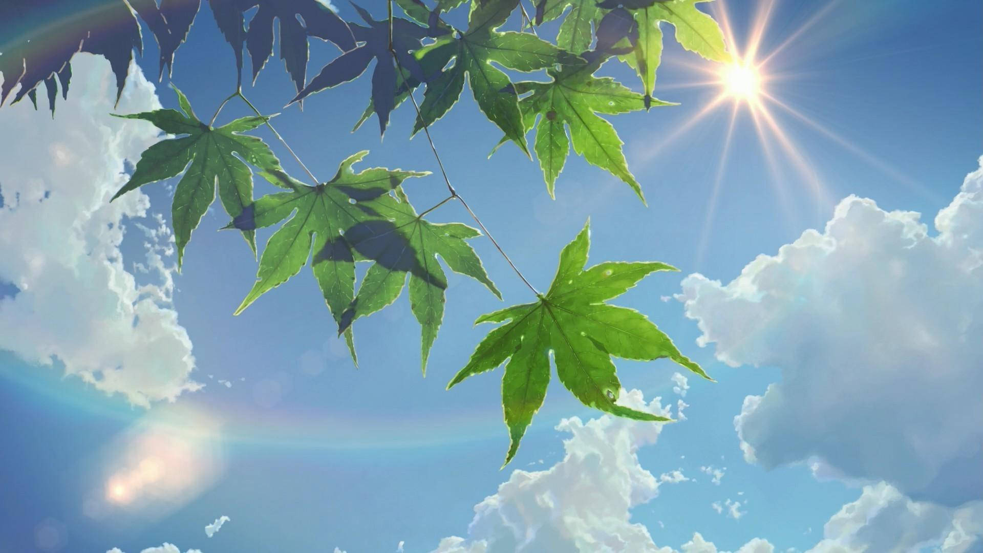 Sommerestetikk sol og himmel Bakgrunner