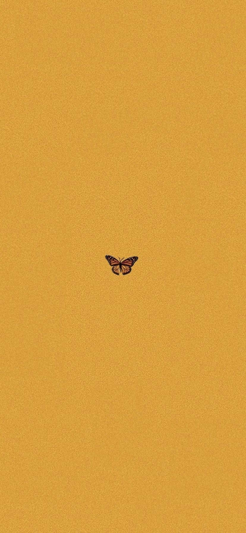 Sommerfugl estetisk gul sennep Bakgrunner