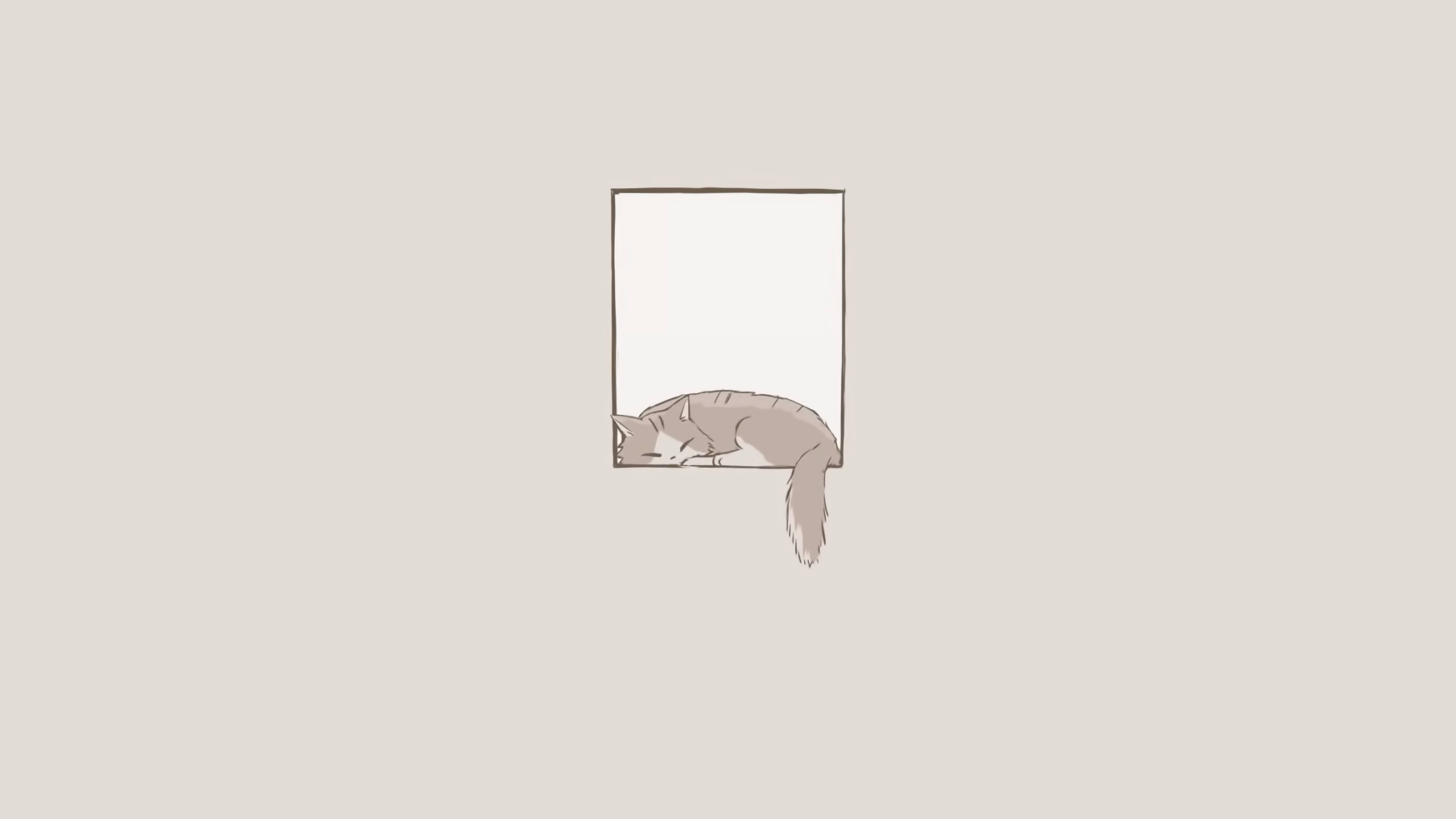 Sovende katt minimalistisk estetisk laptop Bakgrunner
