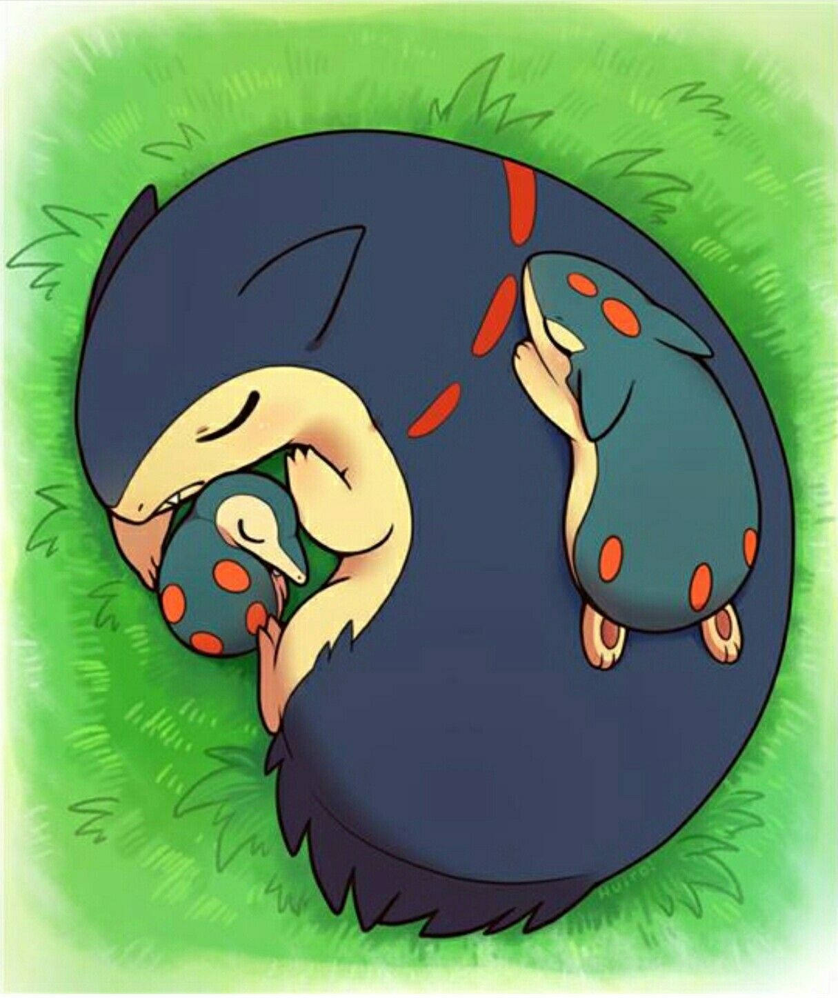 Sovende stor Typhlosion Bakgrunner