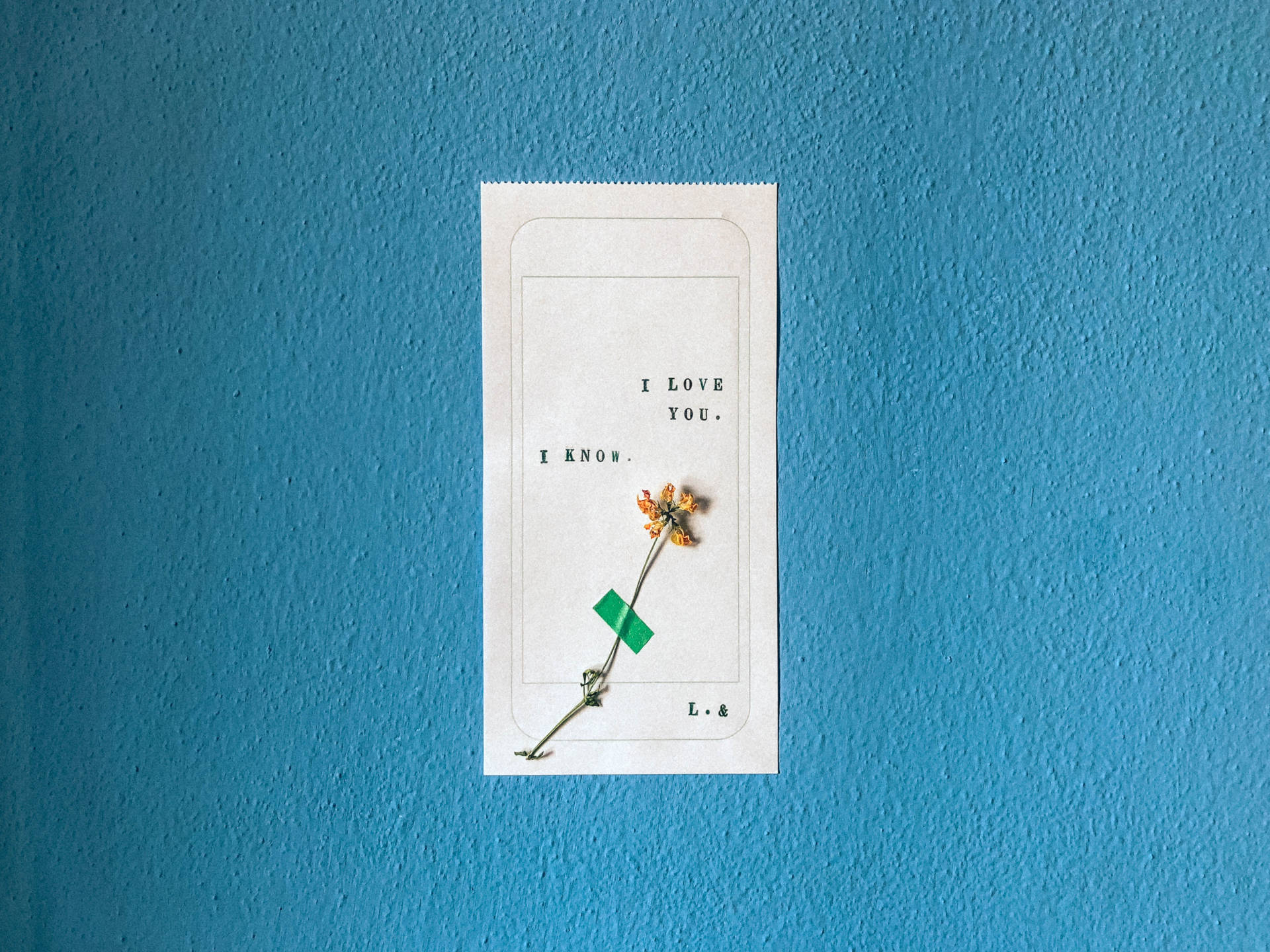 Minimalistisk tegning av en telefonsamtale som sier «Jeg elsker deg» og «Jeg vet» med en tørket blomst teipet på den på blå bakgrunn.