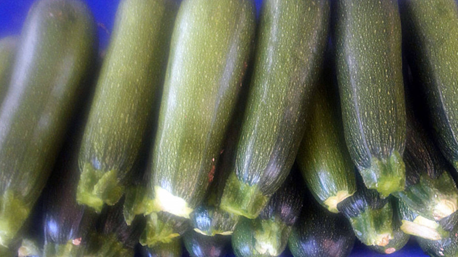 Squash Baby Marrow-sort Bakgrunner