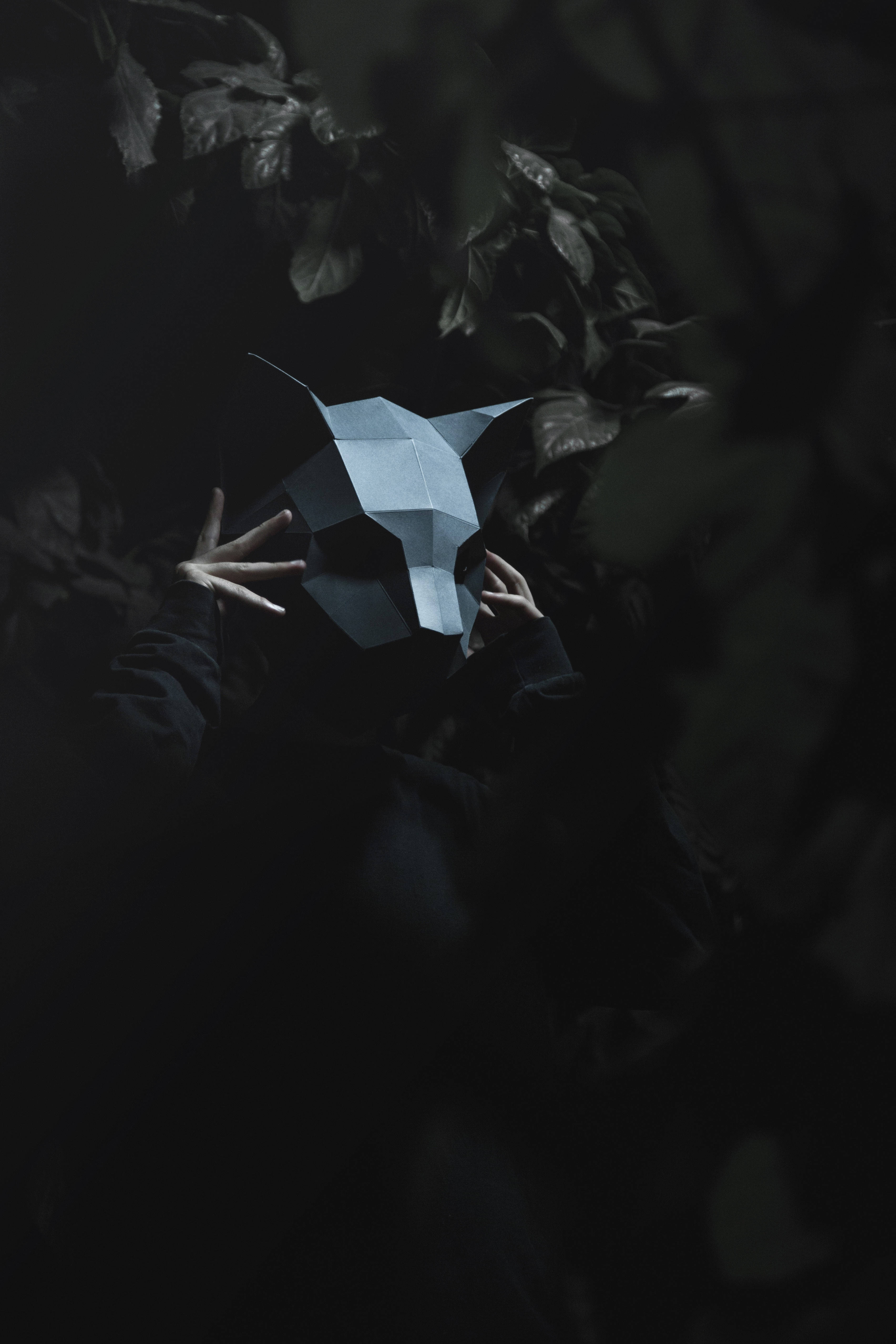 Søt 3D low poly kattemaske Bakgrunner