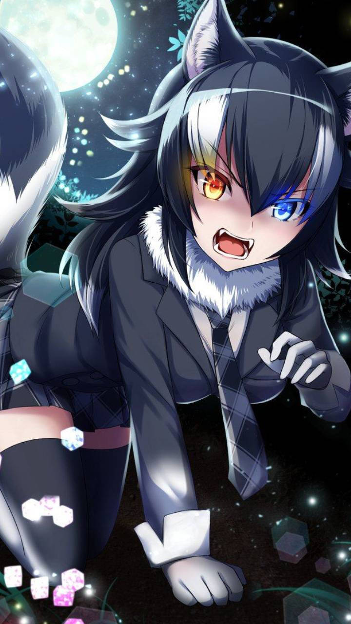 Søt anime PFP ulvejente Bakgrunner