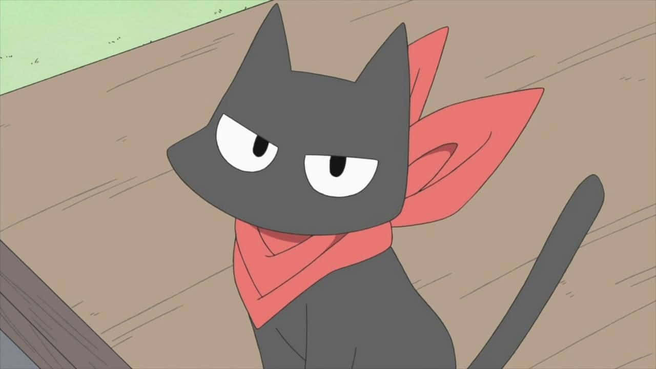 Søt animekatt som ser inn i kameraet Bakgrunner