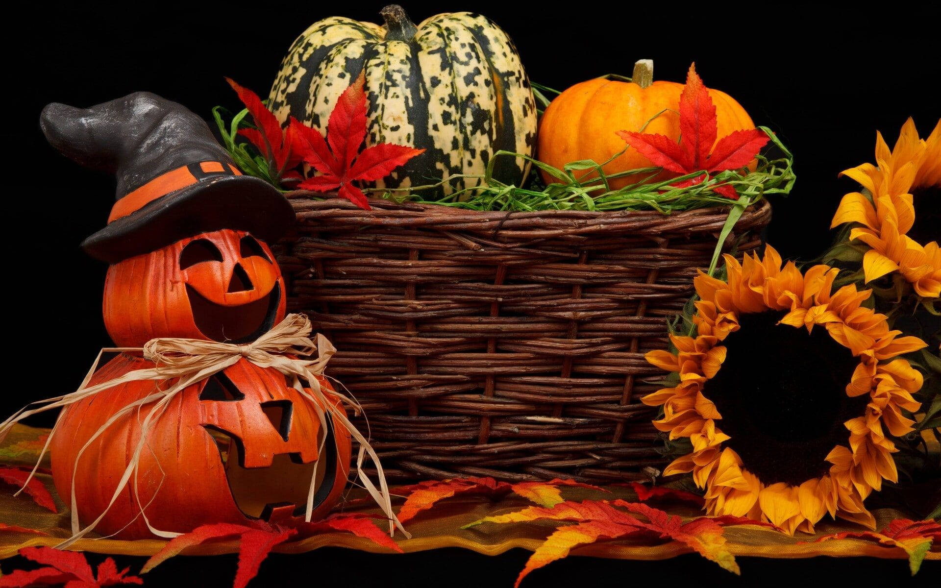 Søt estetisk Halloween-gresskar og blomster Bakgrunner