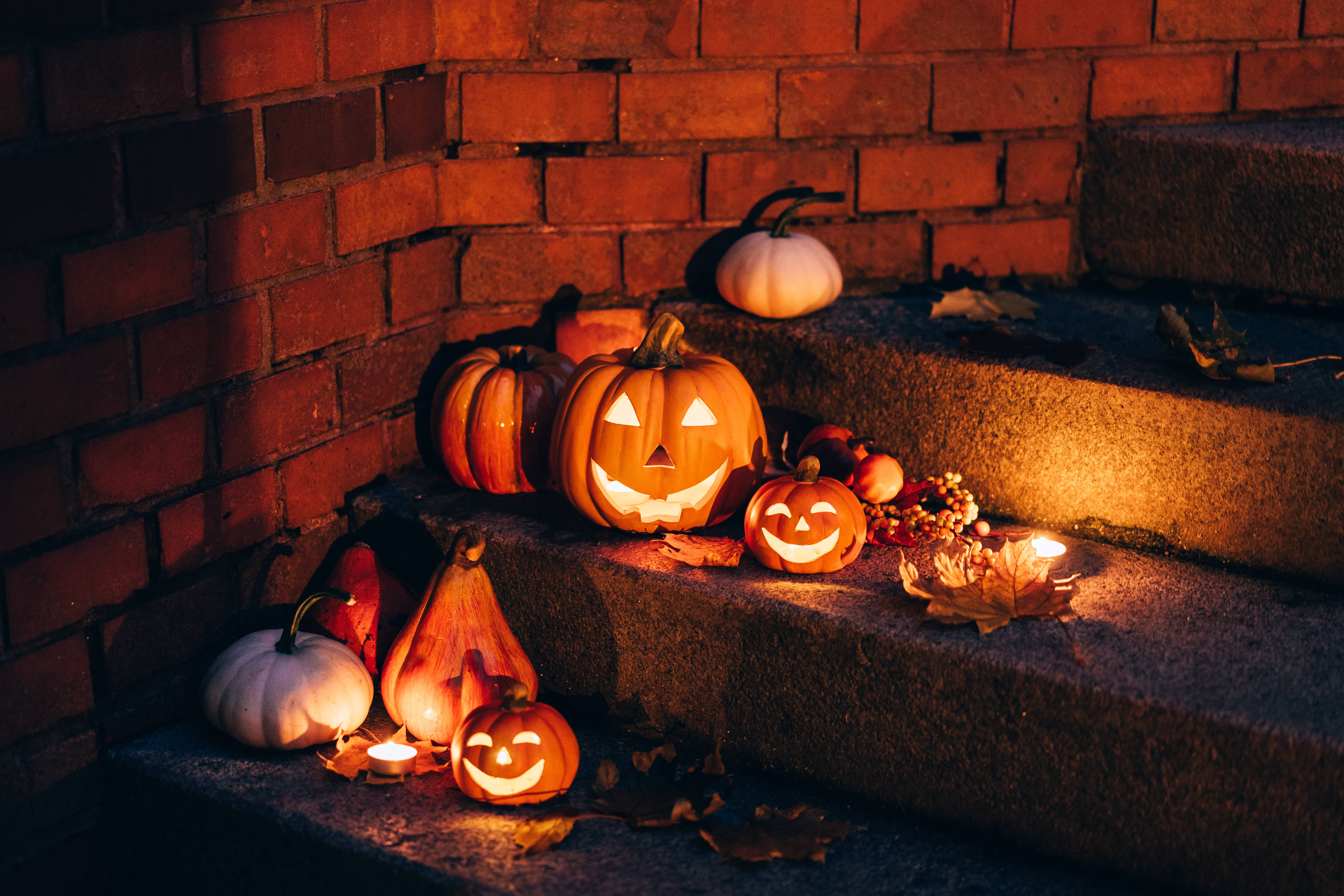 Søt estetisk halloween på trappen Bakgrunner