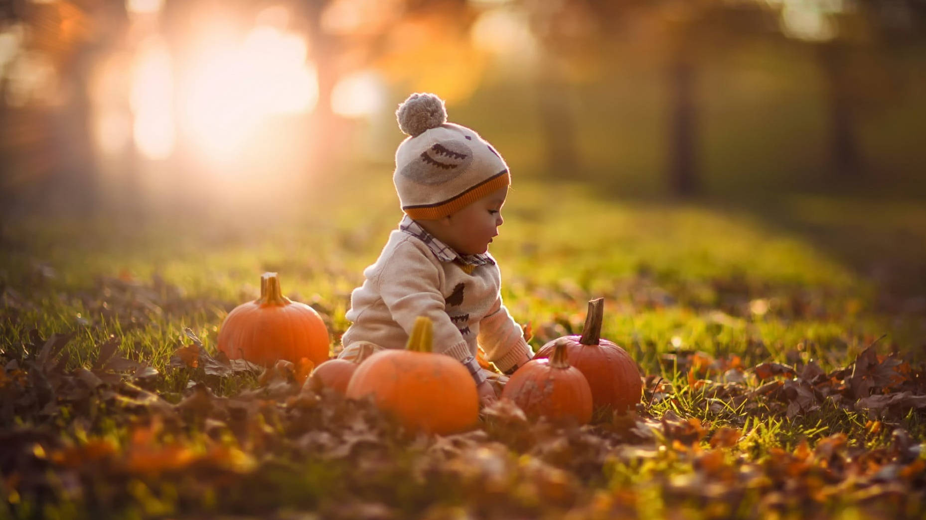 Søt Halloween-baby i parken Bakgrunner