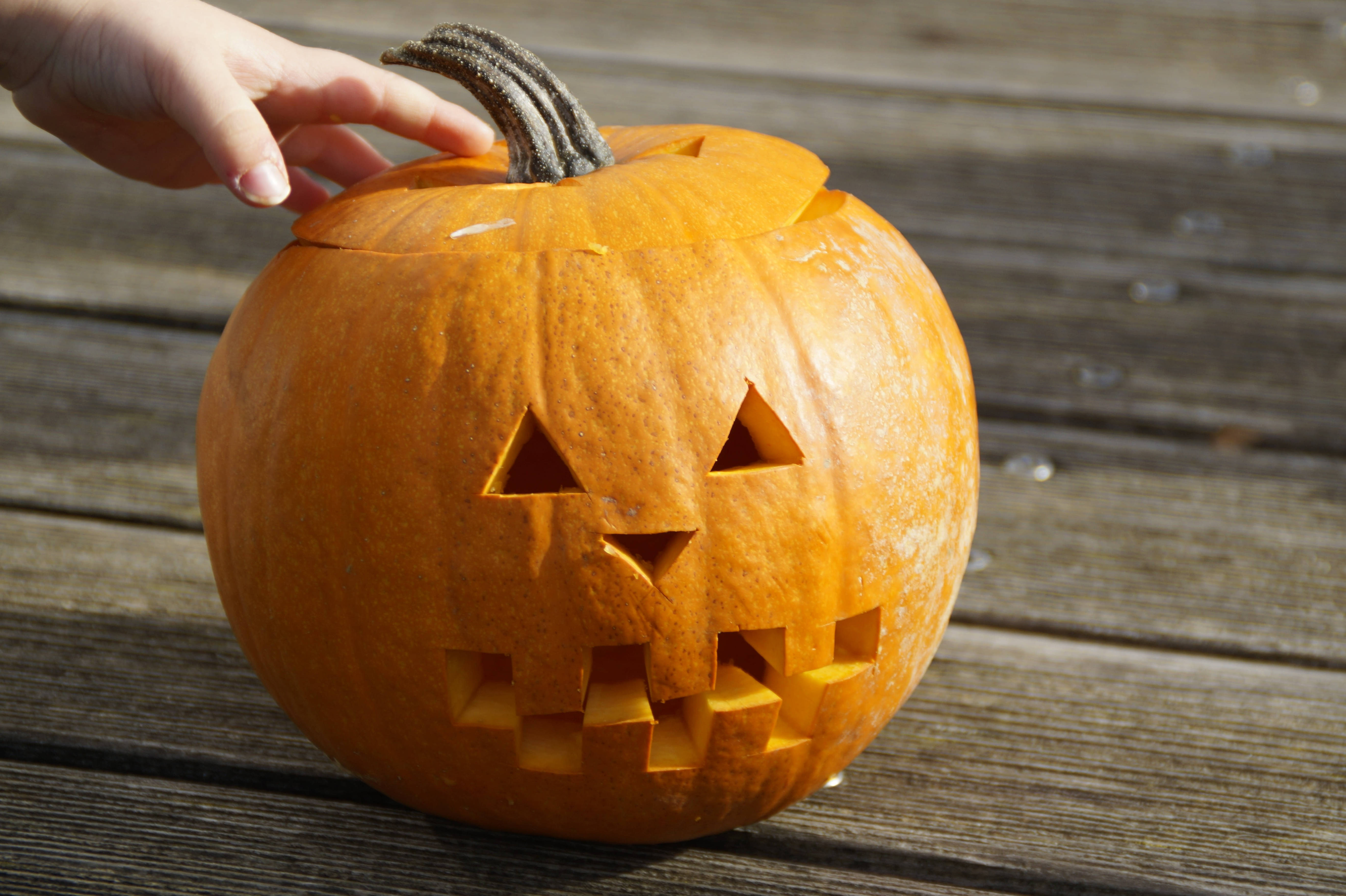 Søt halloween-gresskar berøring Bakgrunner