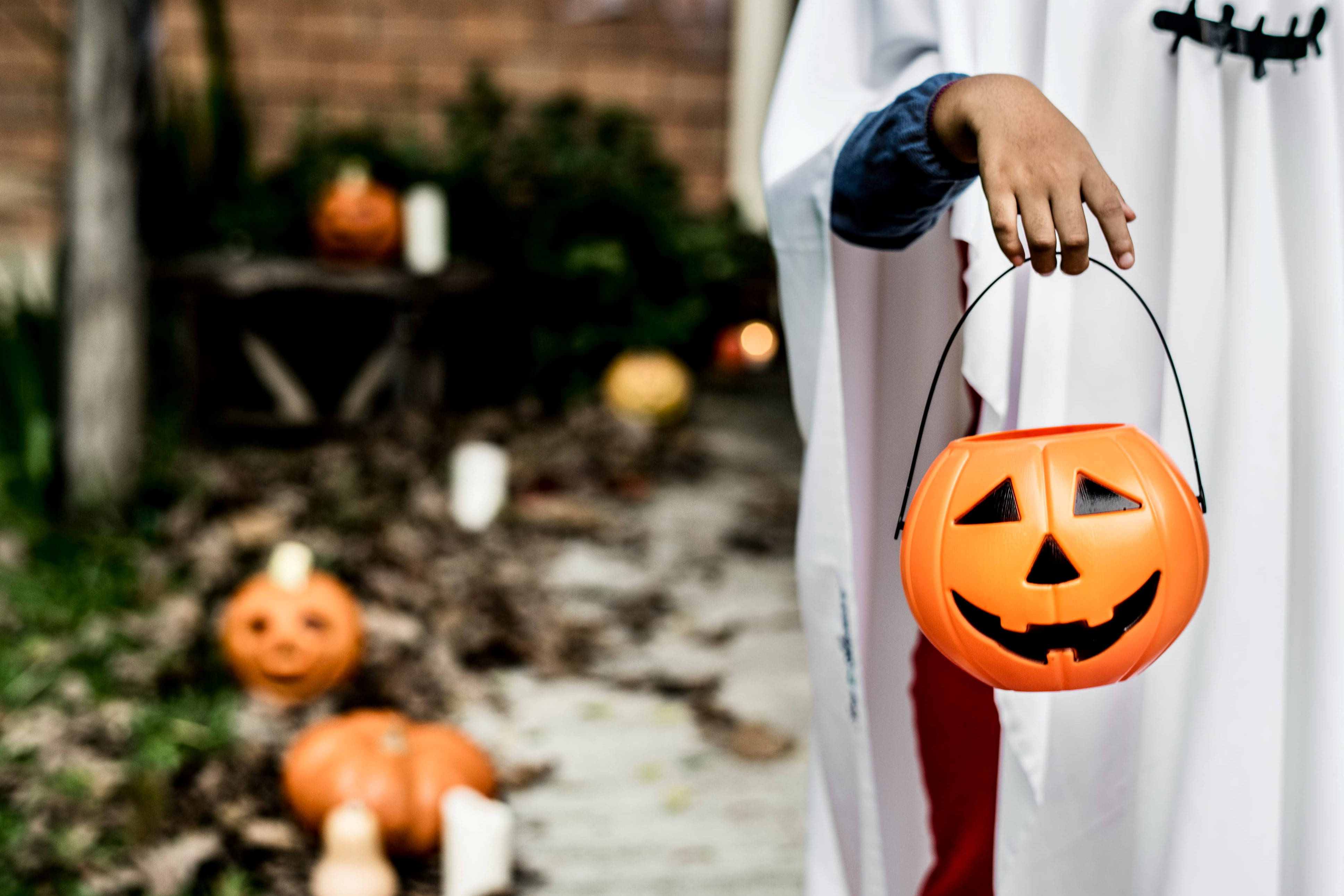 Søt Halloween-gresskarbøtte Bakgrunner