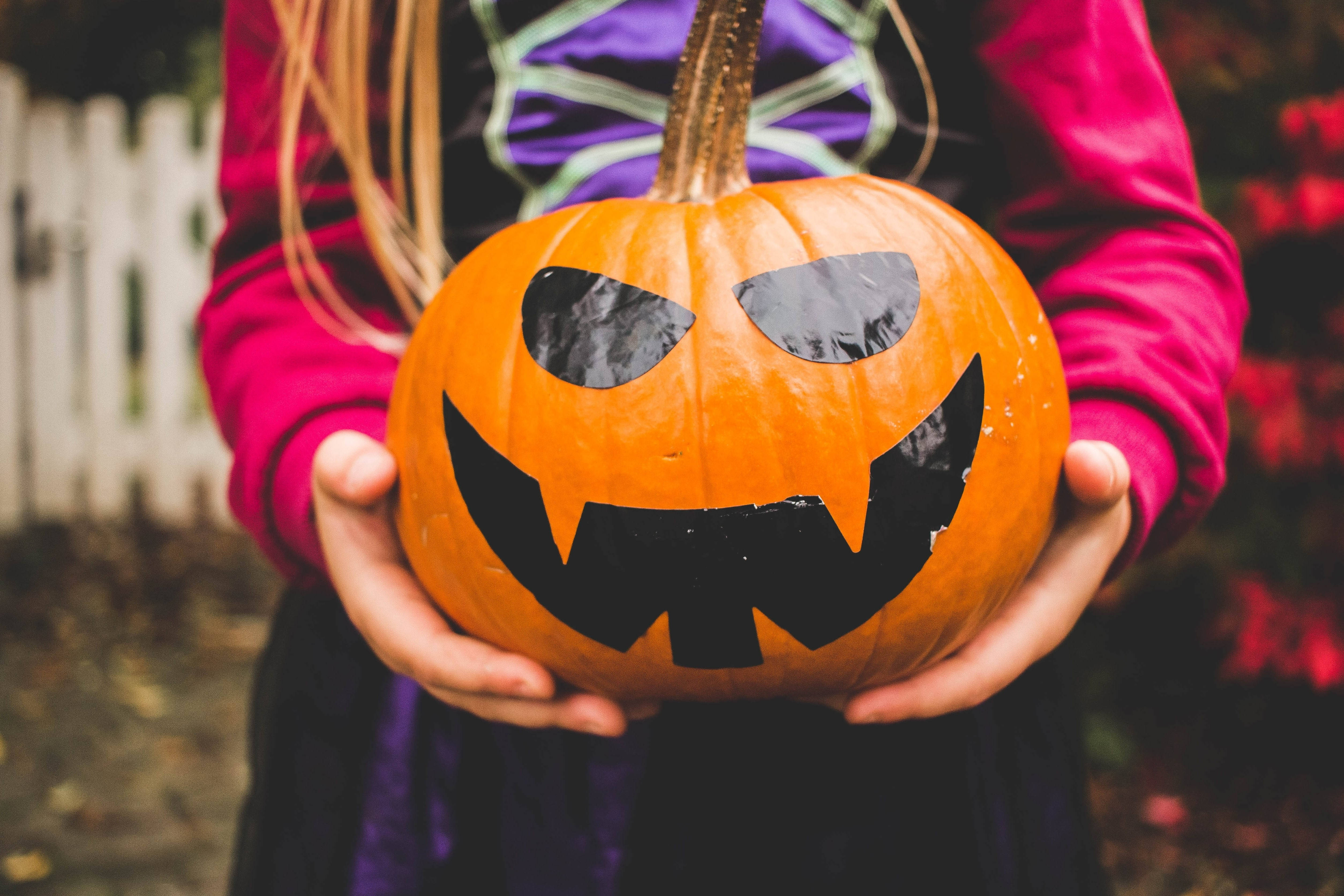 Søt Halloween-jente med gresskar Bakgrunner