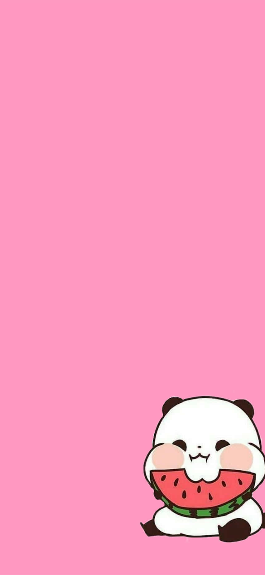 Søt jentete panda rosa vannmelon Bakgrunner