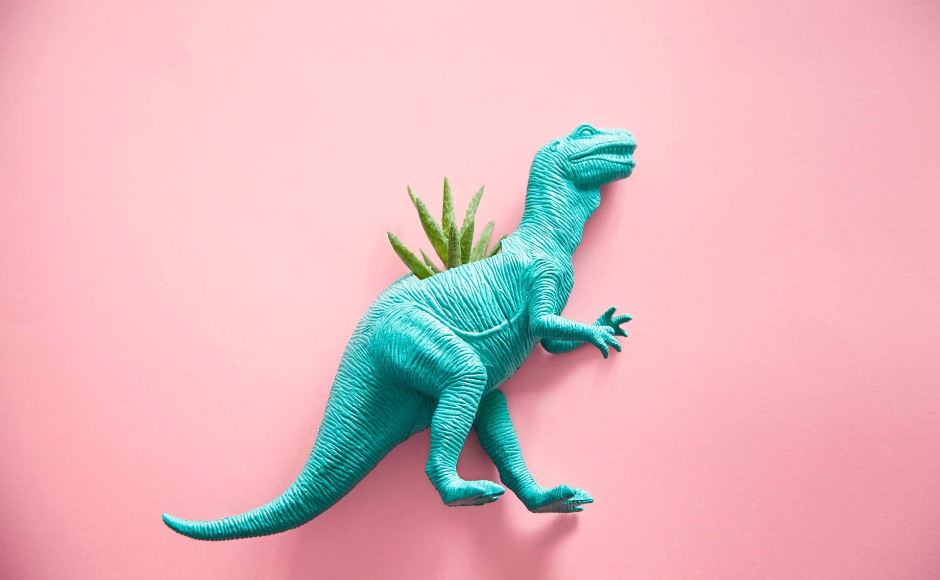 Søt rosa dinosaur T-rex plante Bakgrunner