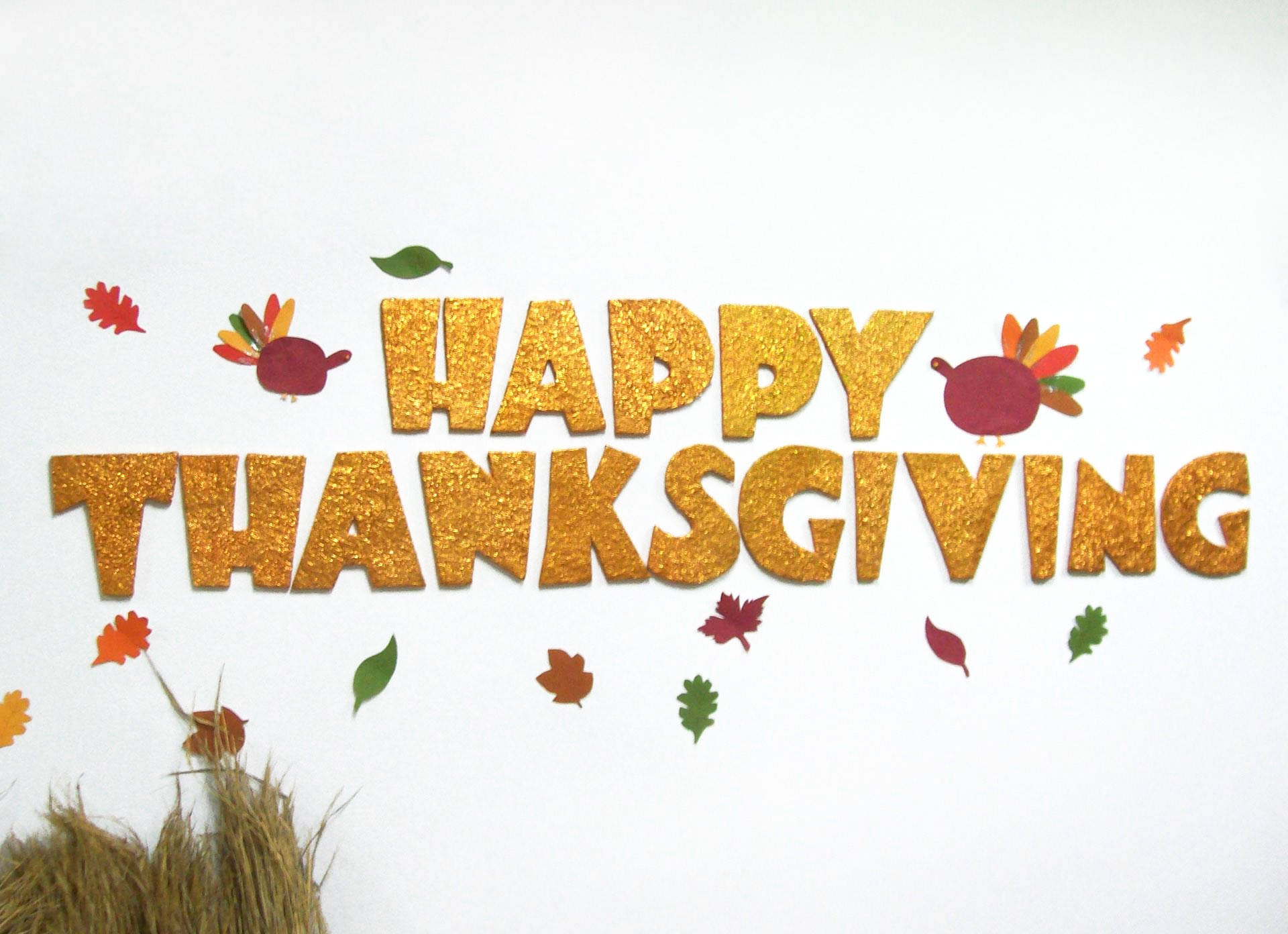 Søt rosa fugl til Thanksgiving Bakgrunner