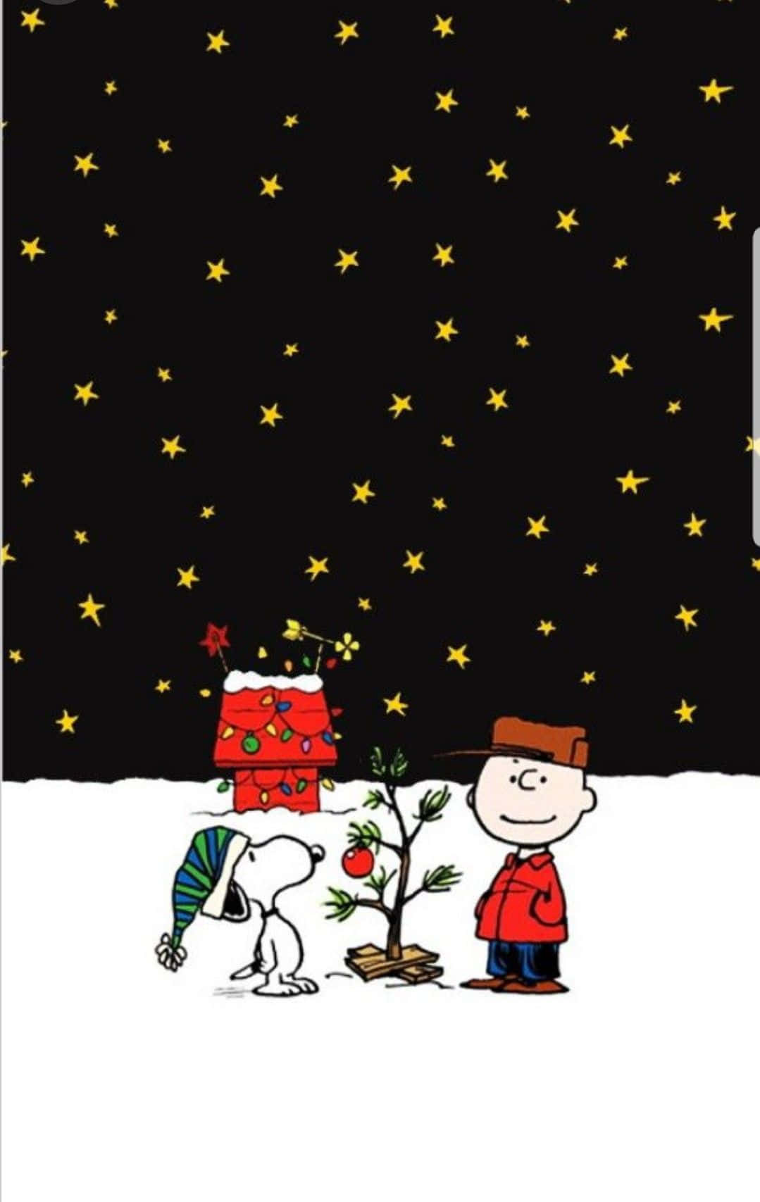 Søt Snoopy-jul med stjerner på mørk kveld Bakgrunner