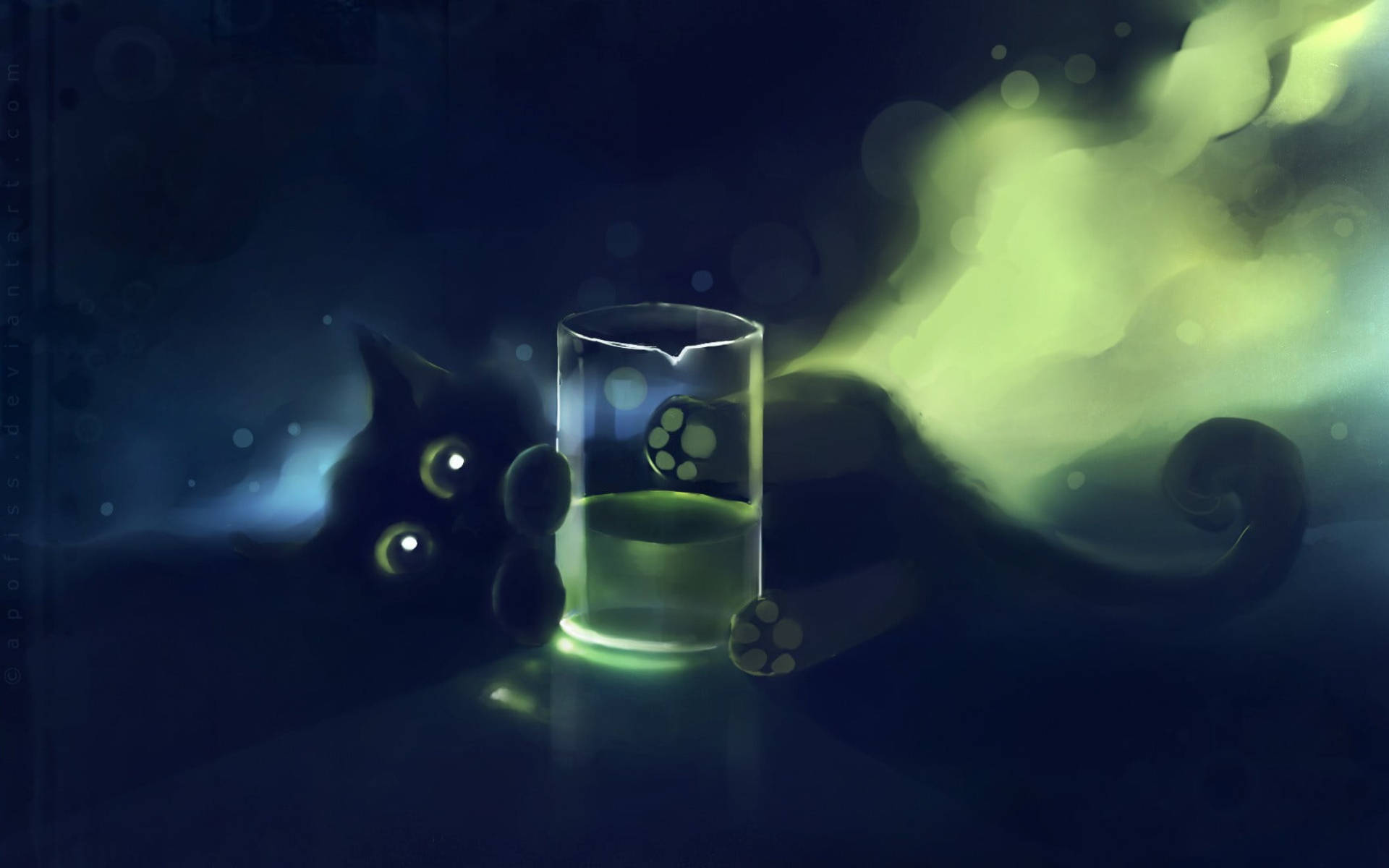 Søt svart kattunge bak glass Bakgrunner