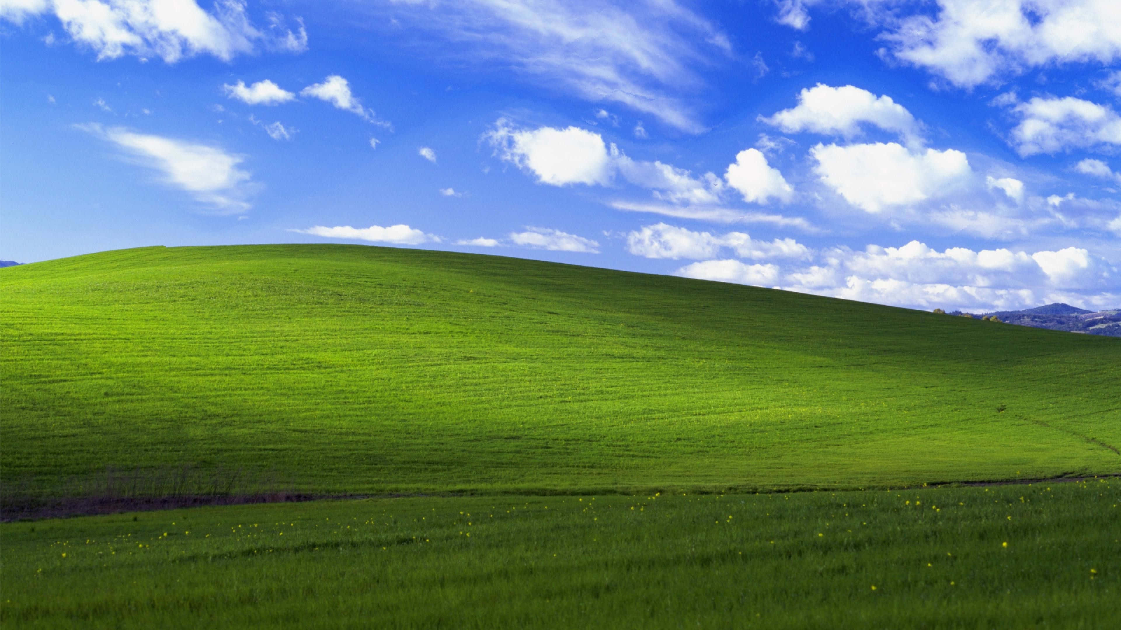Standard Bliss Windows 1 Bakgrunner
