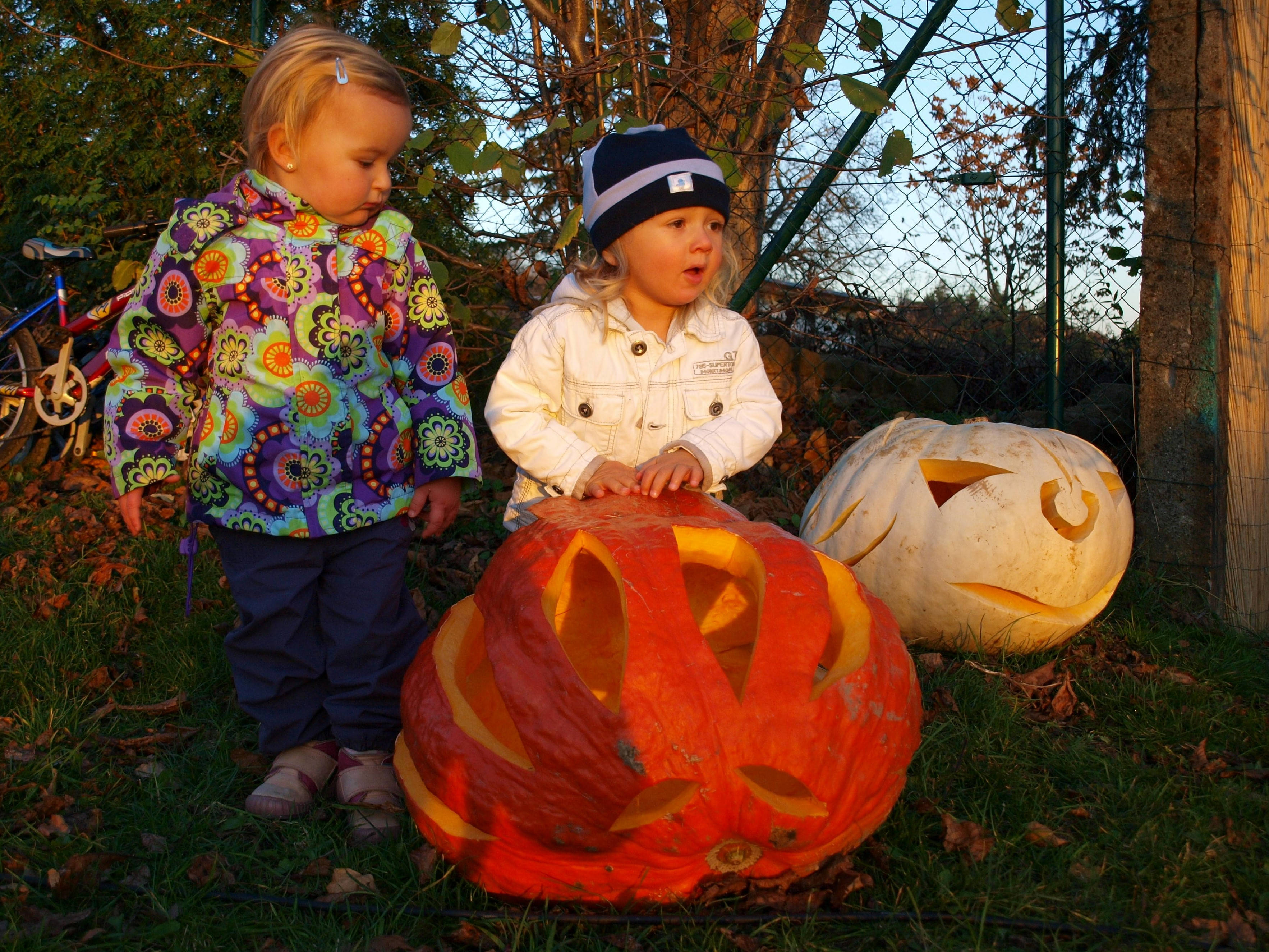 Søte Halloween-småbarn Bakgrunner