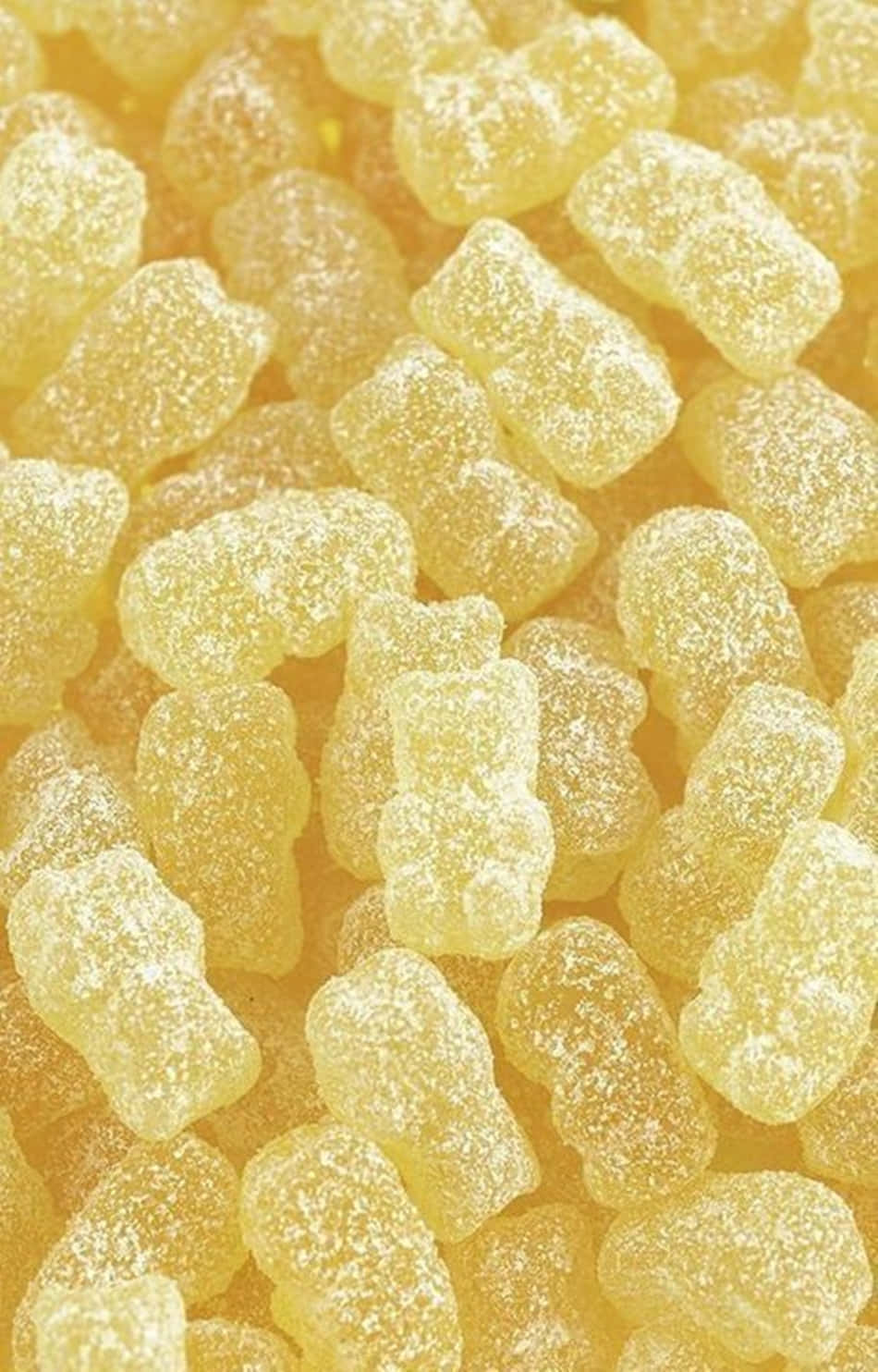 Søte pastellgule gummibjørner Bakgrunner